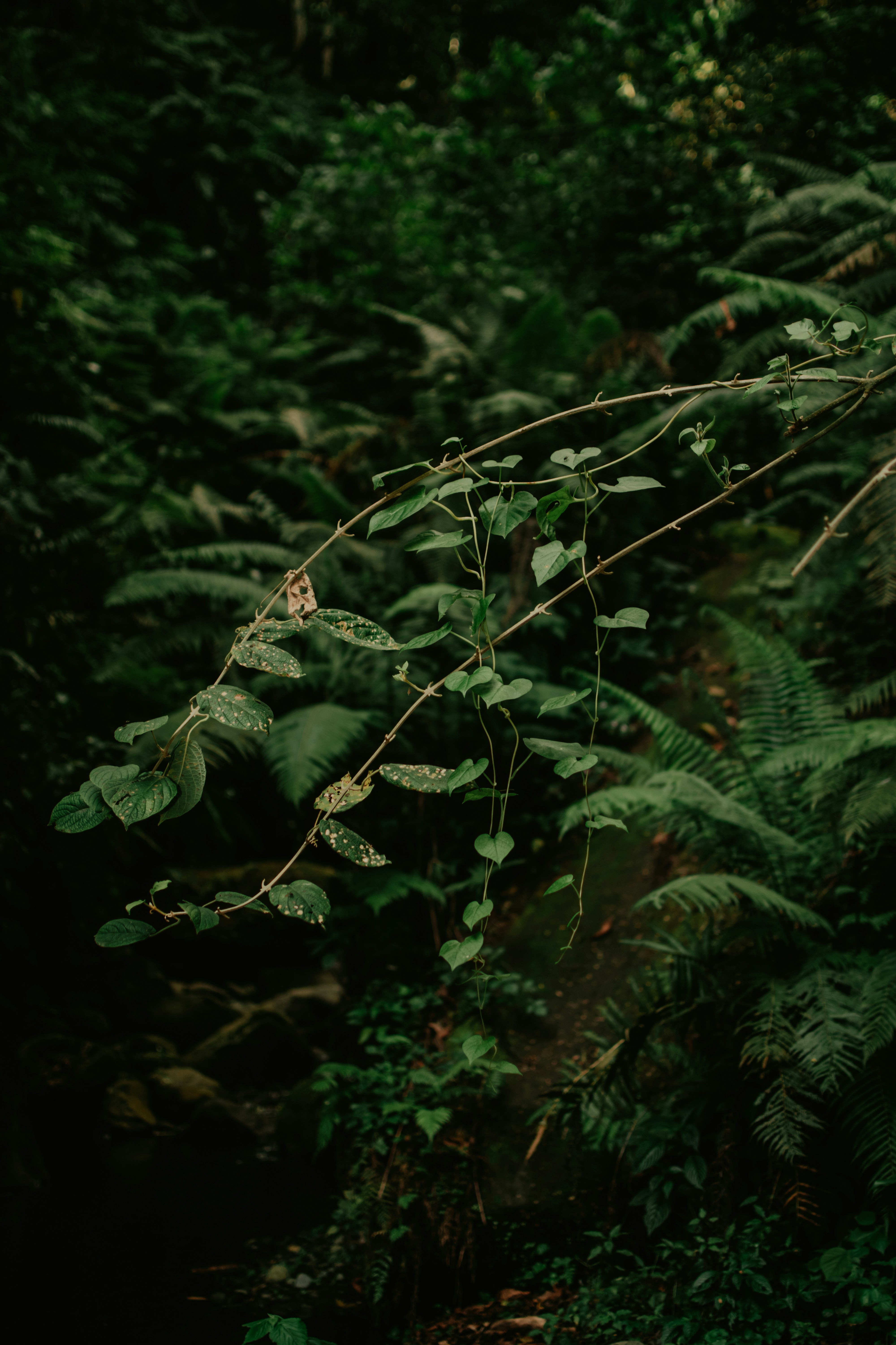 Photo by utunzajiwamazingira