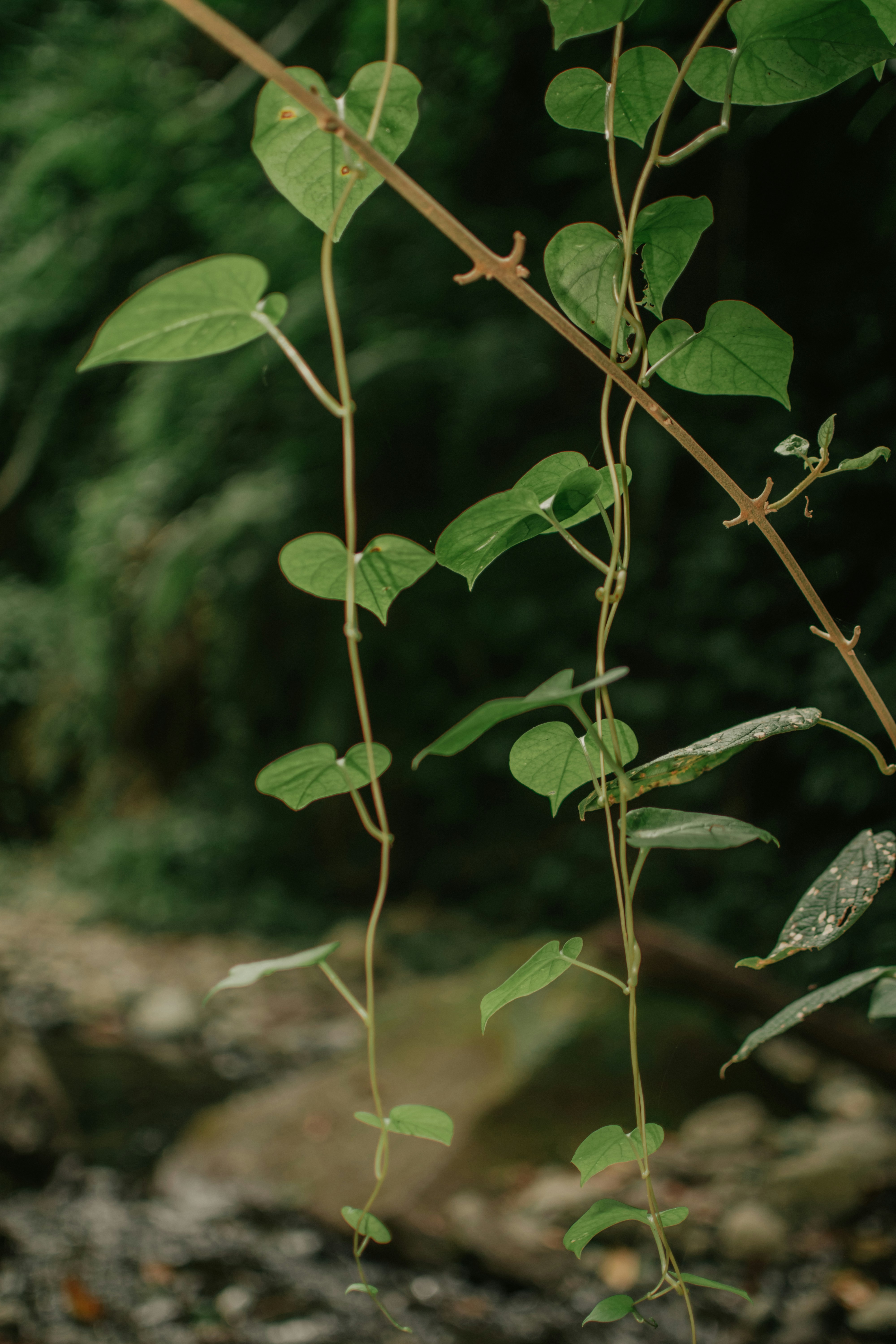 Photo by utunzajiwamazingira