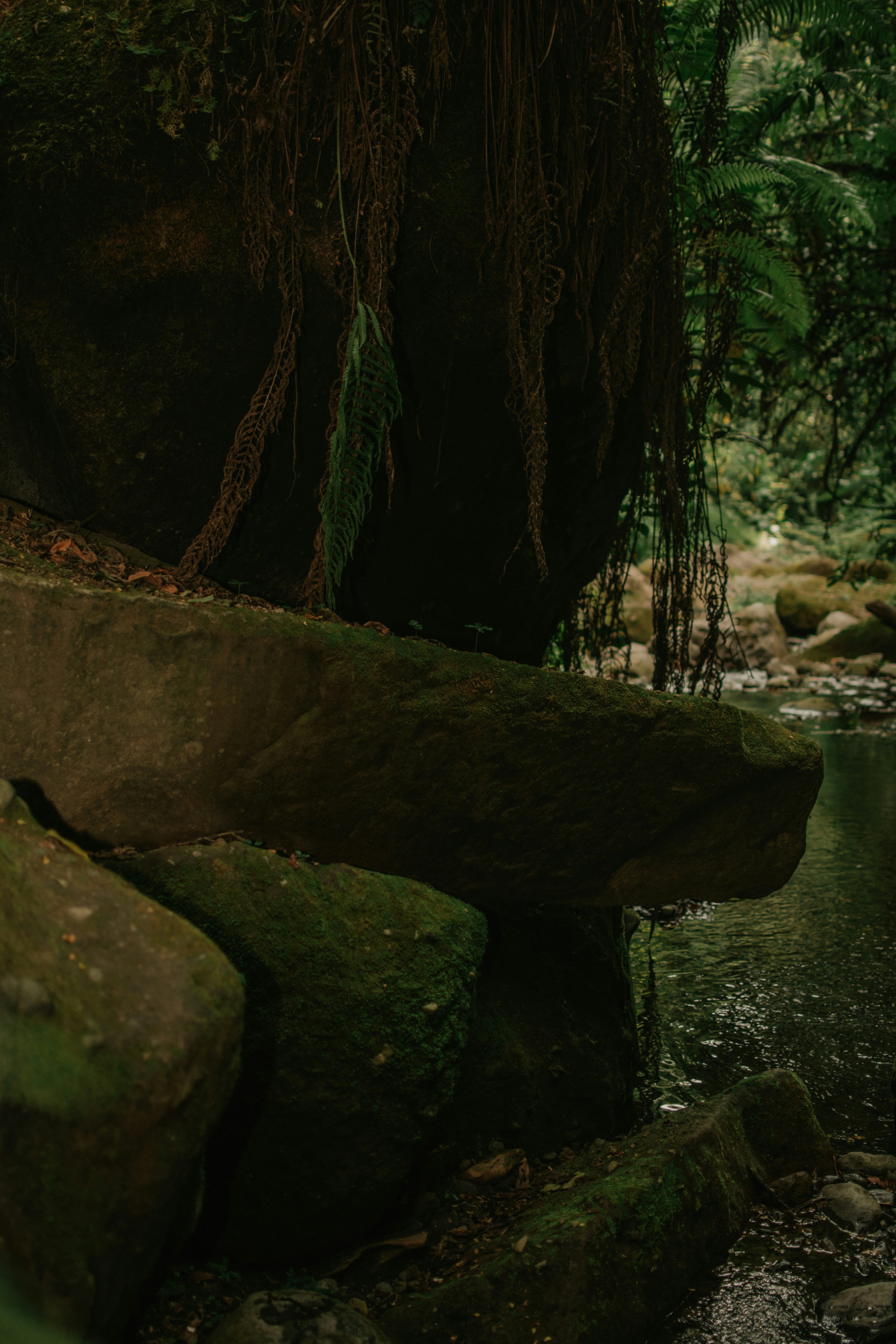 Photo by utunzajiwamazingira