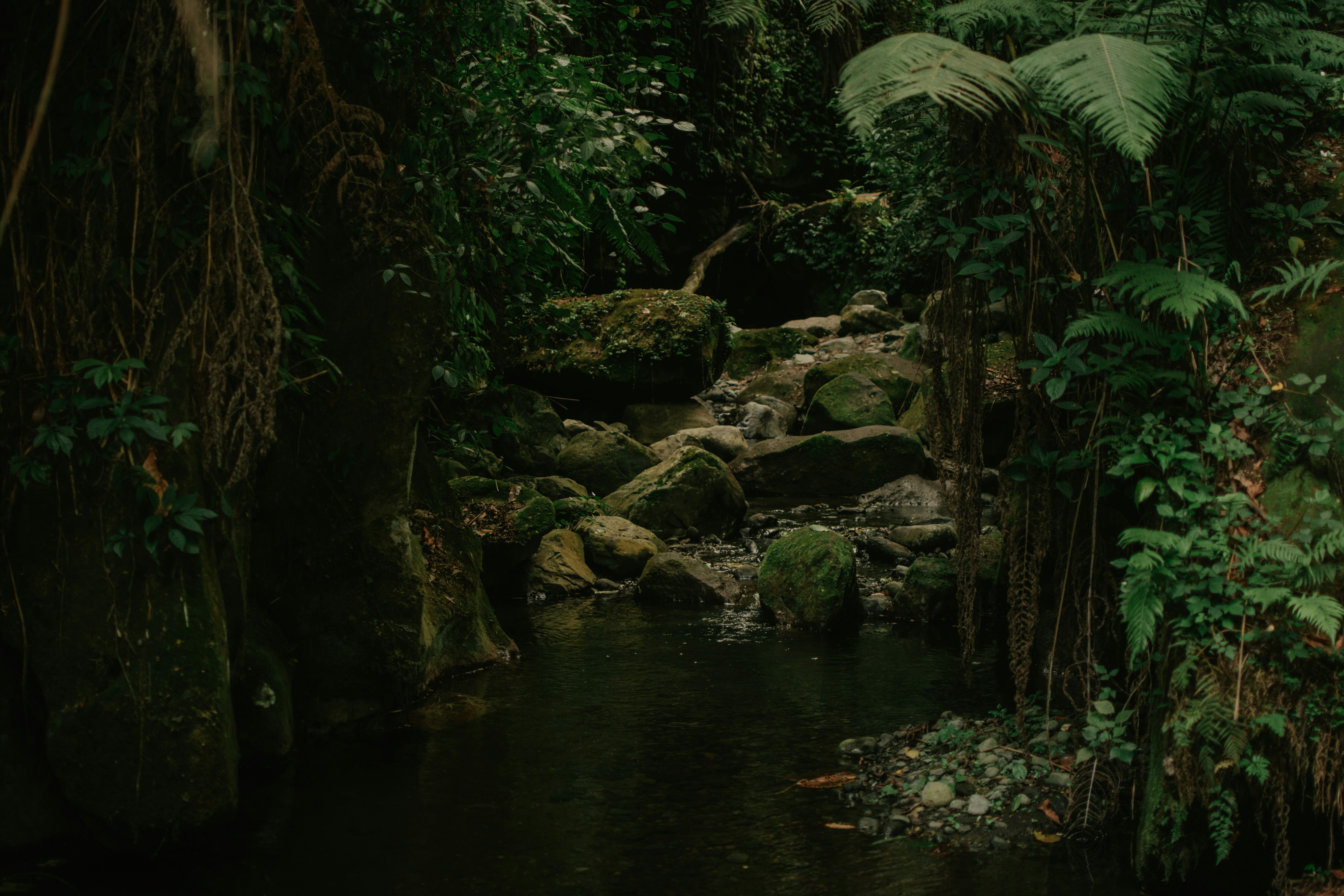 Photo by utunzajiwamazingira