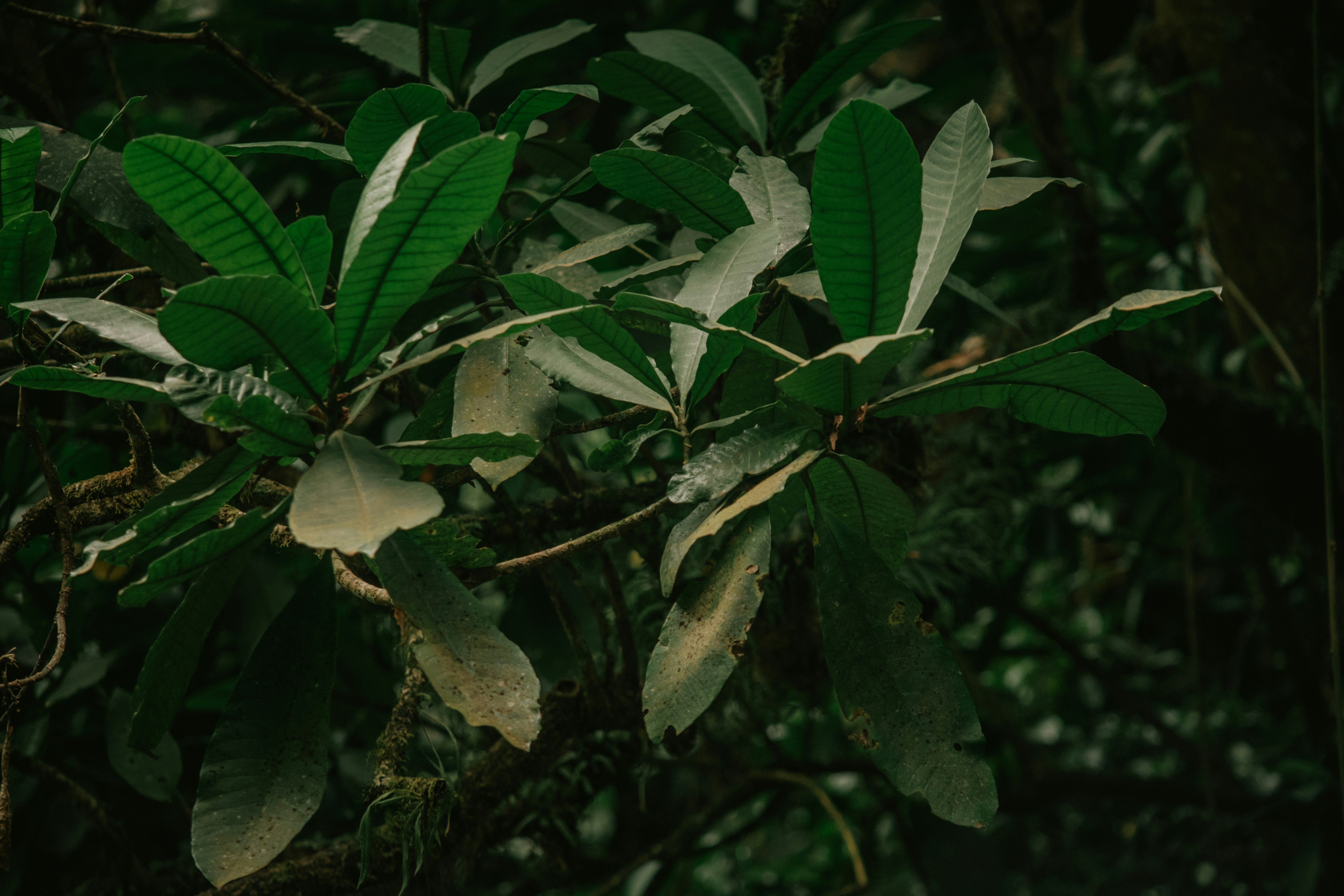 Photo by utunzajiwamazingira