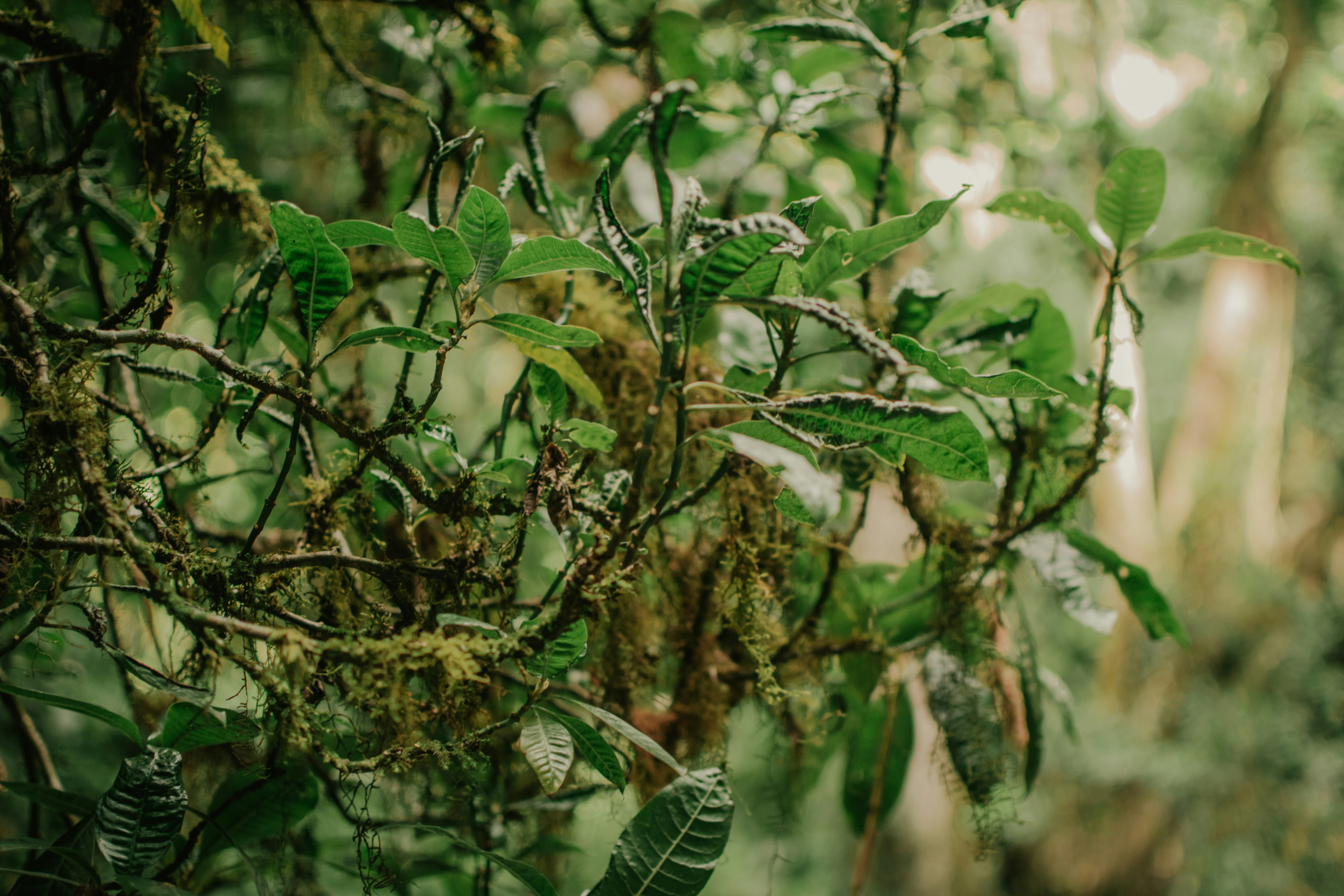 Photo by utunzajiwamazingira