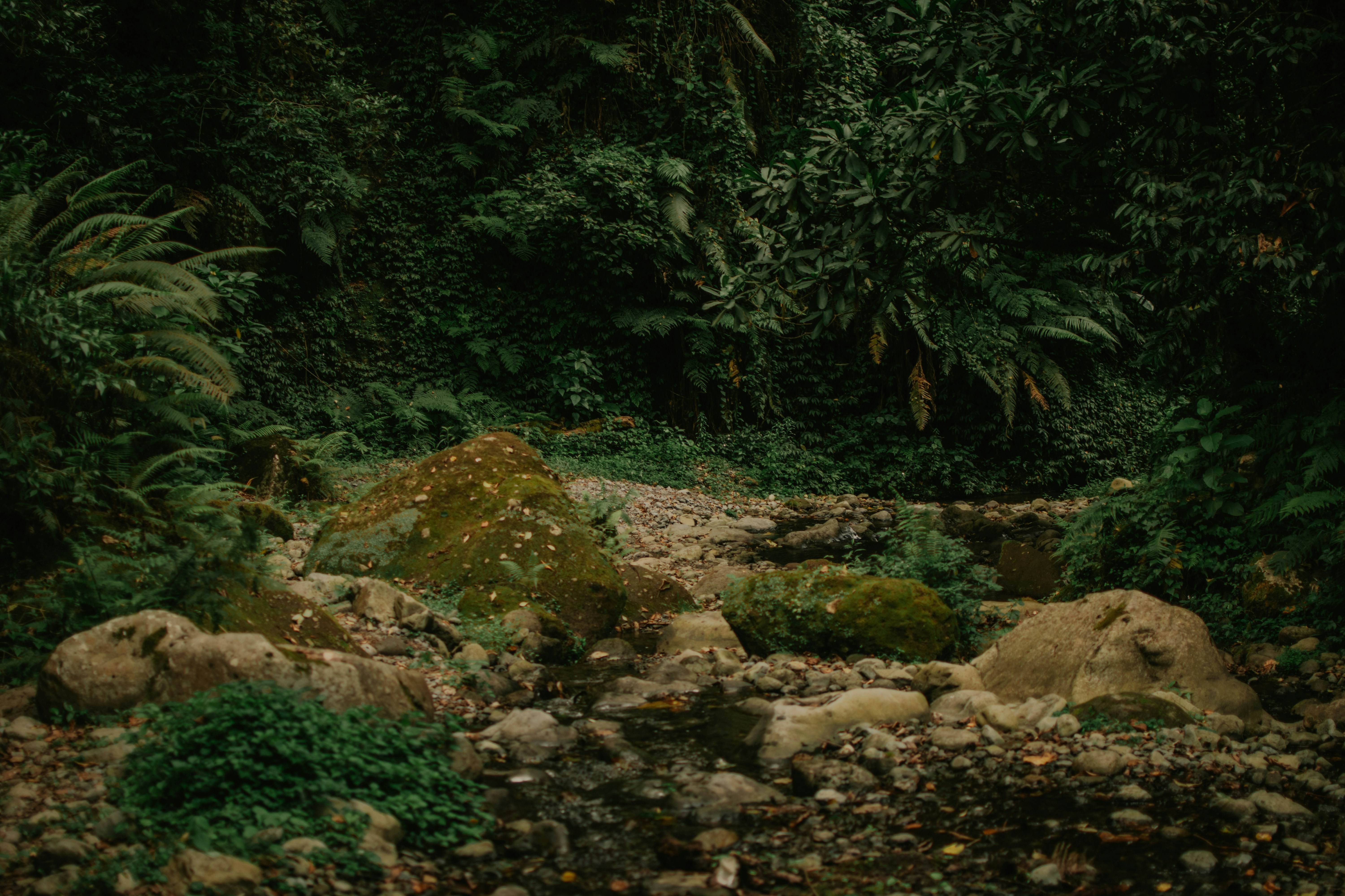 Photo by utunzajiwamazingira