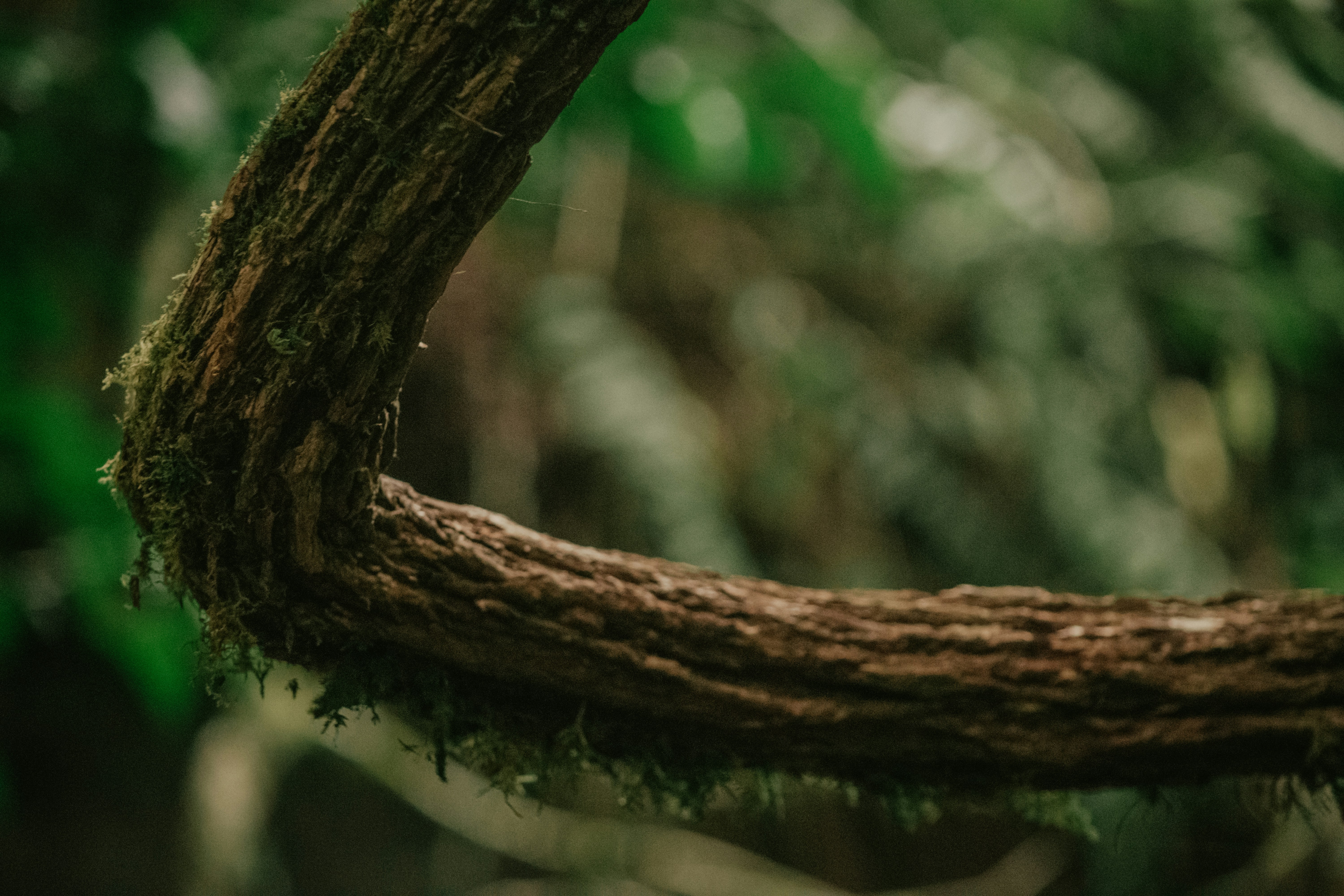 Photo by utunzajiwamazingira