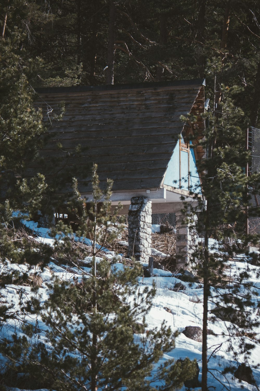 a cabin in the woods with snow on the ground