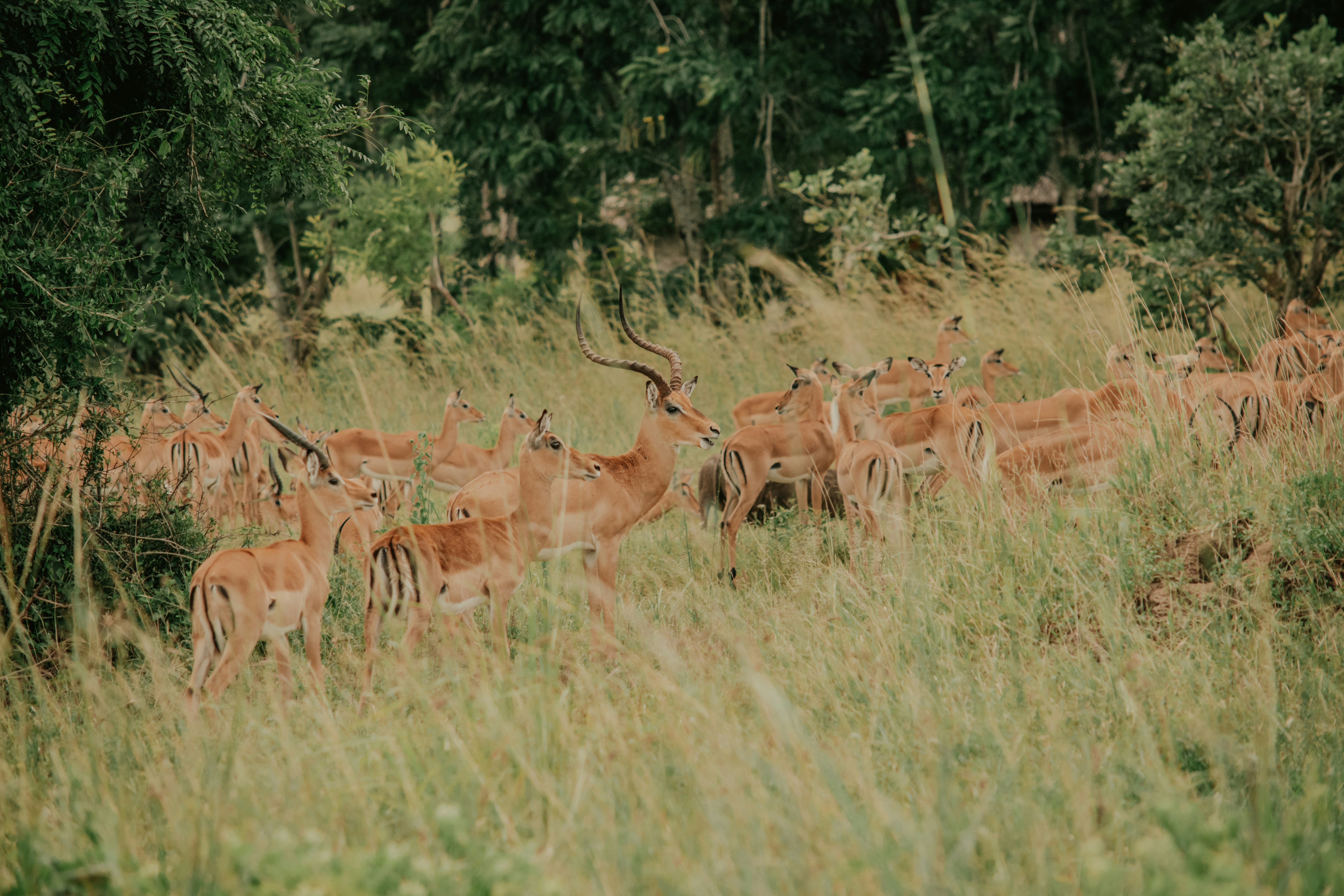 Photo by utunzajiwamazingira