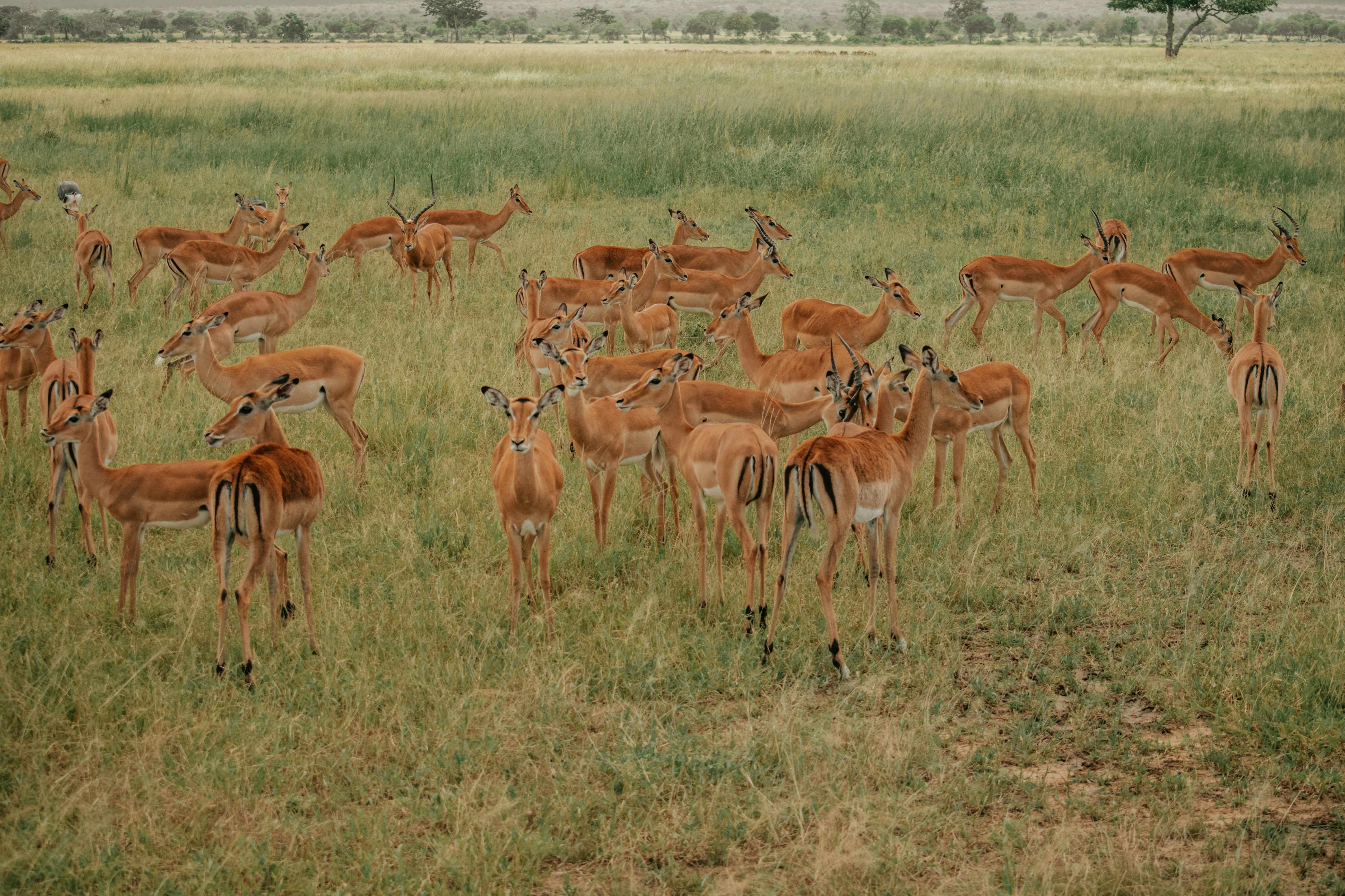 Photo by utunzajiwamazingira