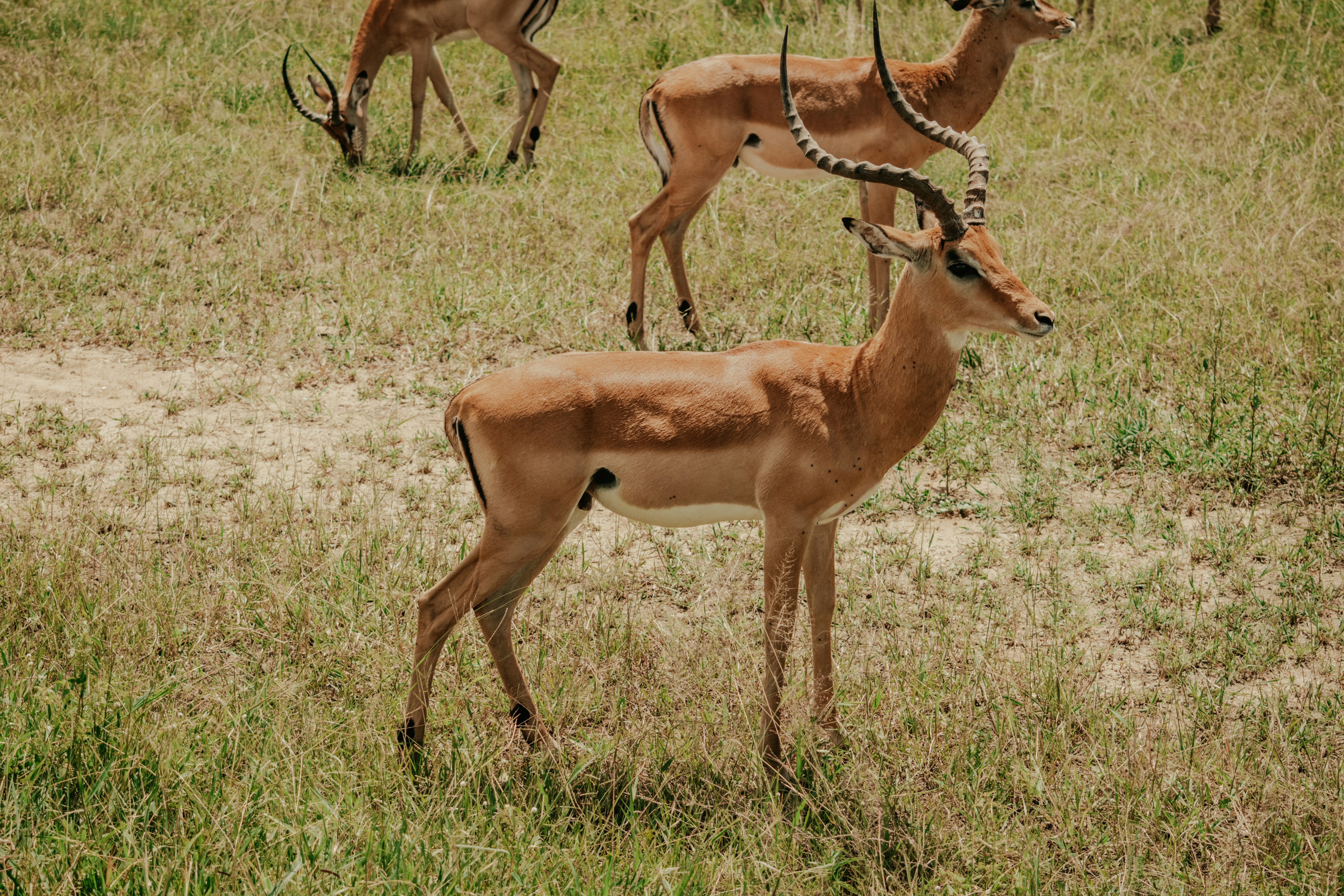 Photo by utunzajiwamazingira