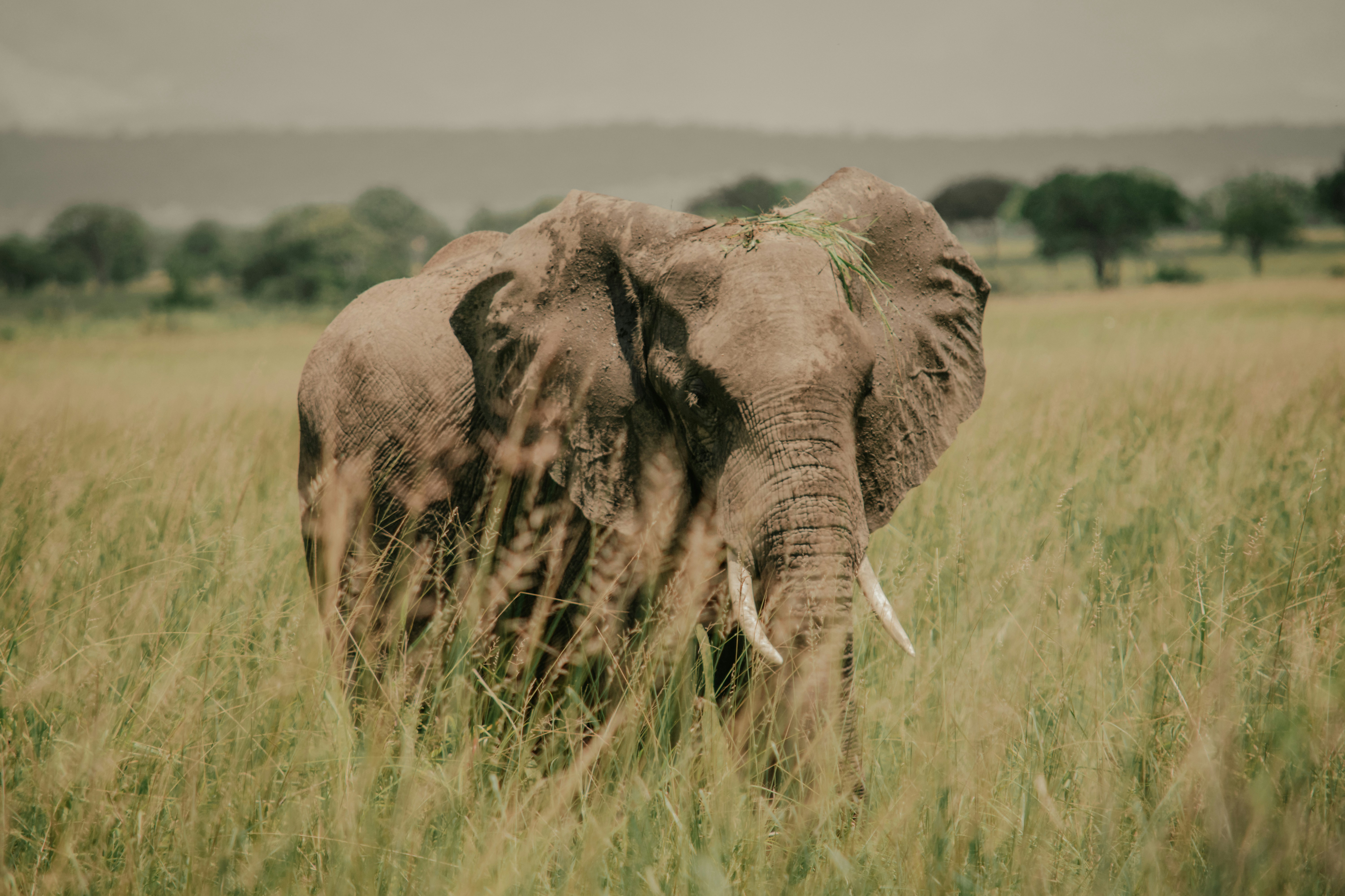 Photo by utunzajiwamazingira