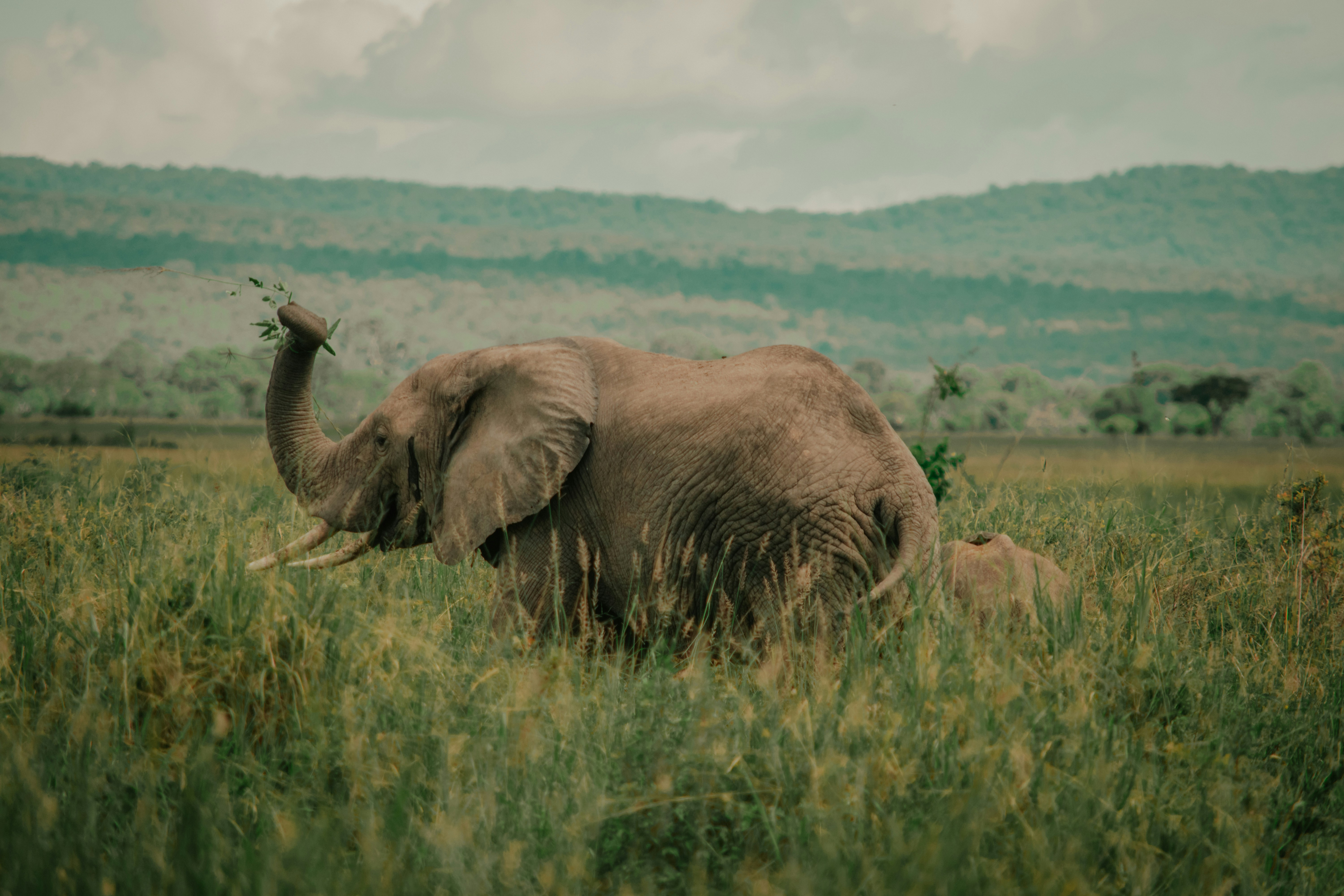 Photo by utunzajiwamazingira