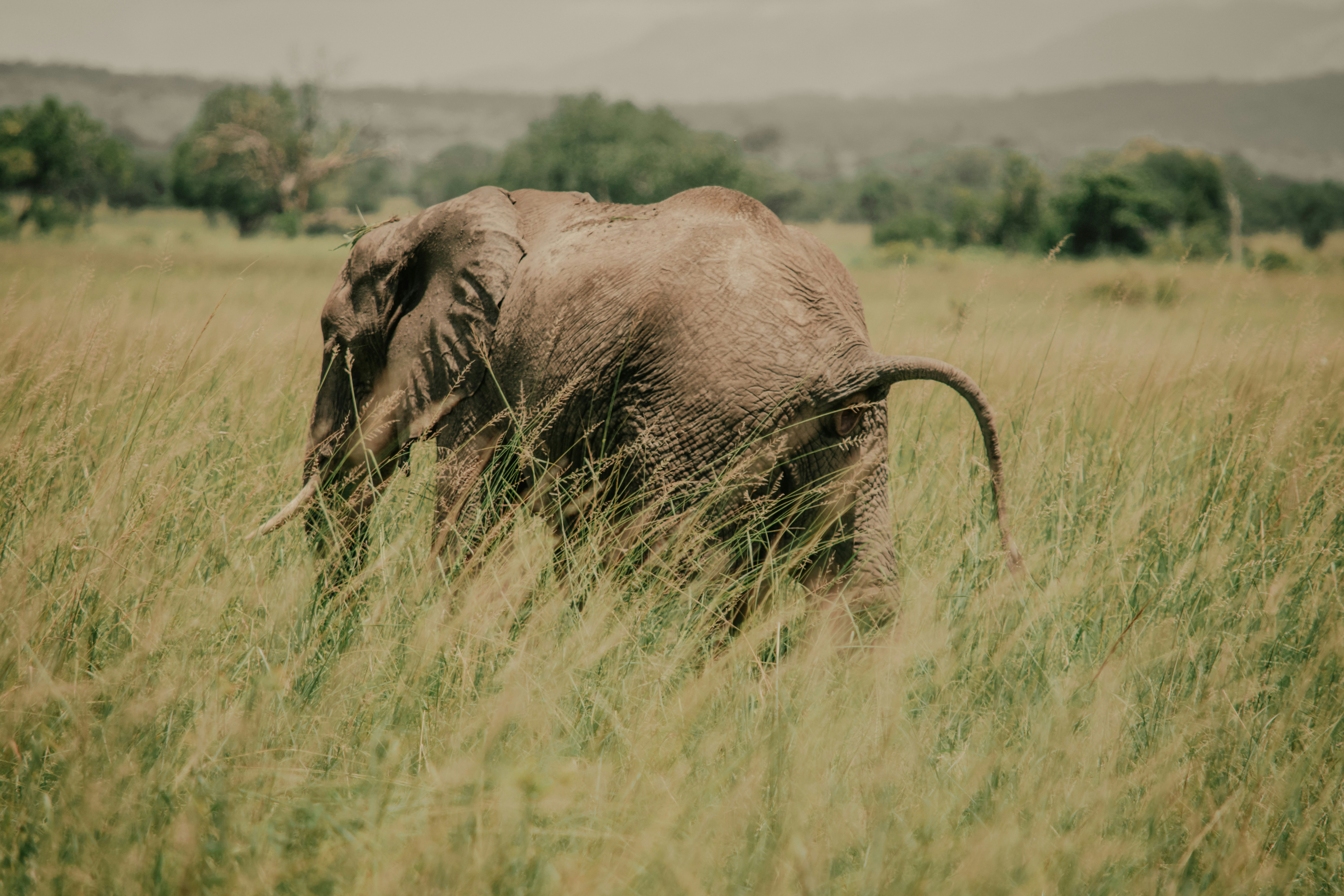 Photo by utunzajiwamazingira