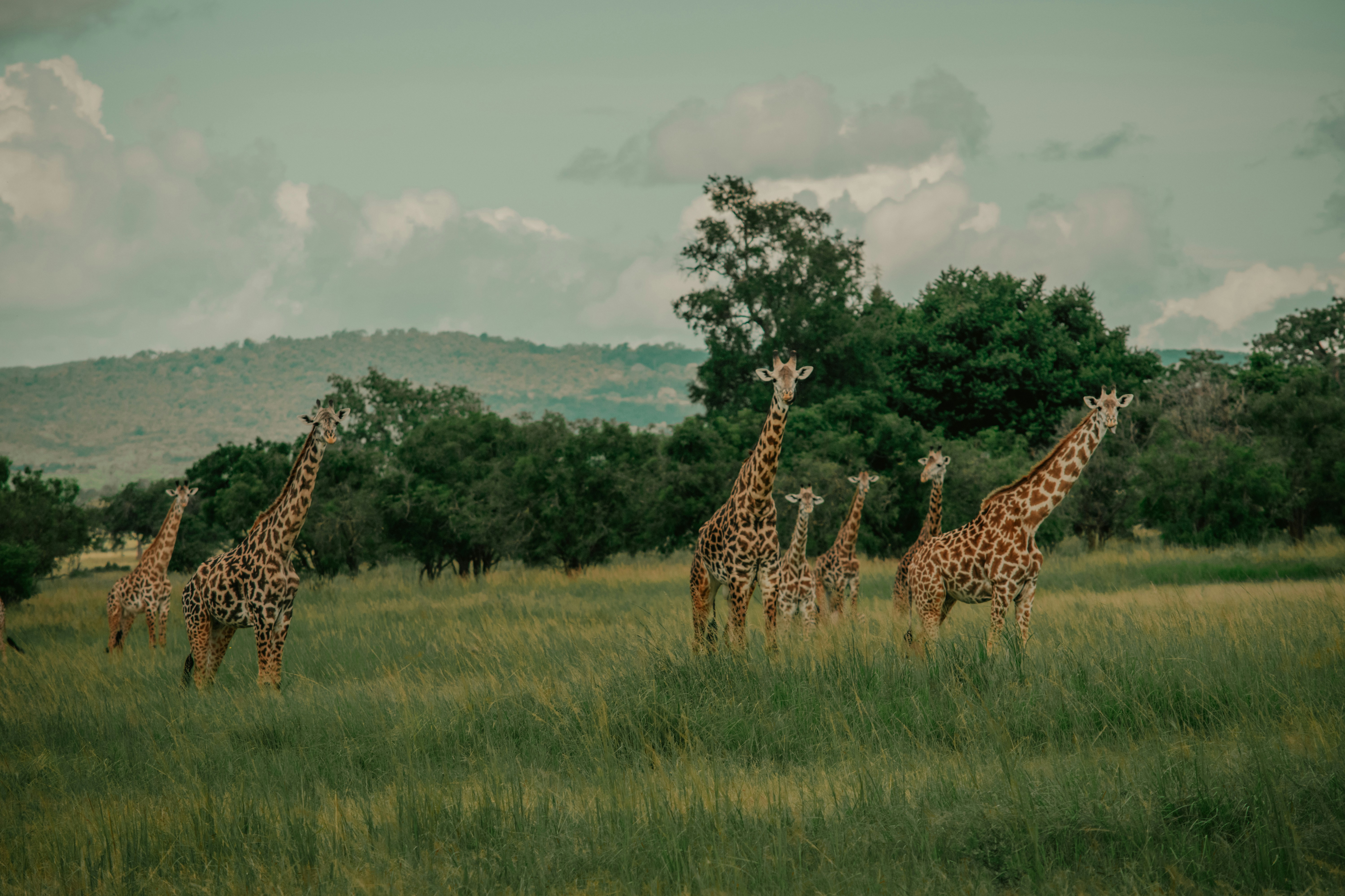 Photo by utunzajiwamazingira