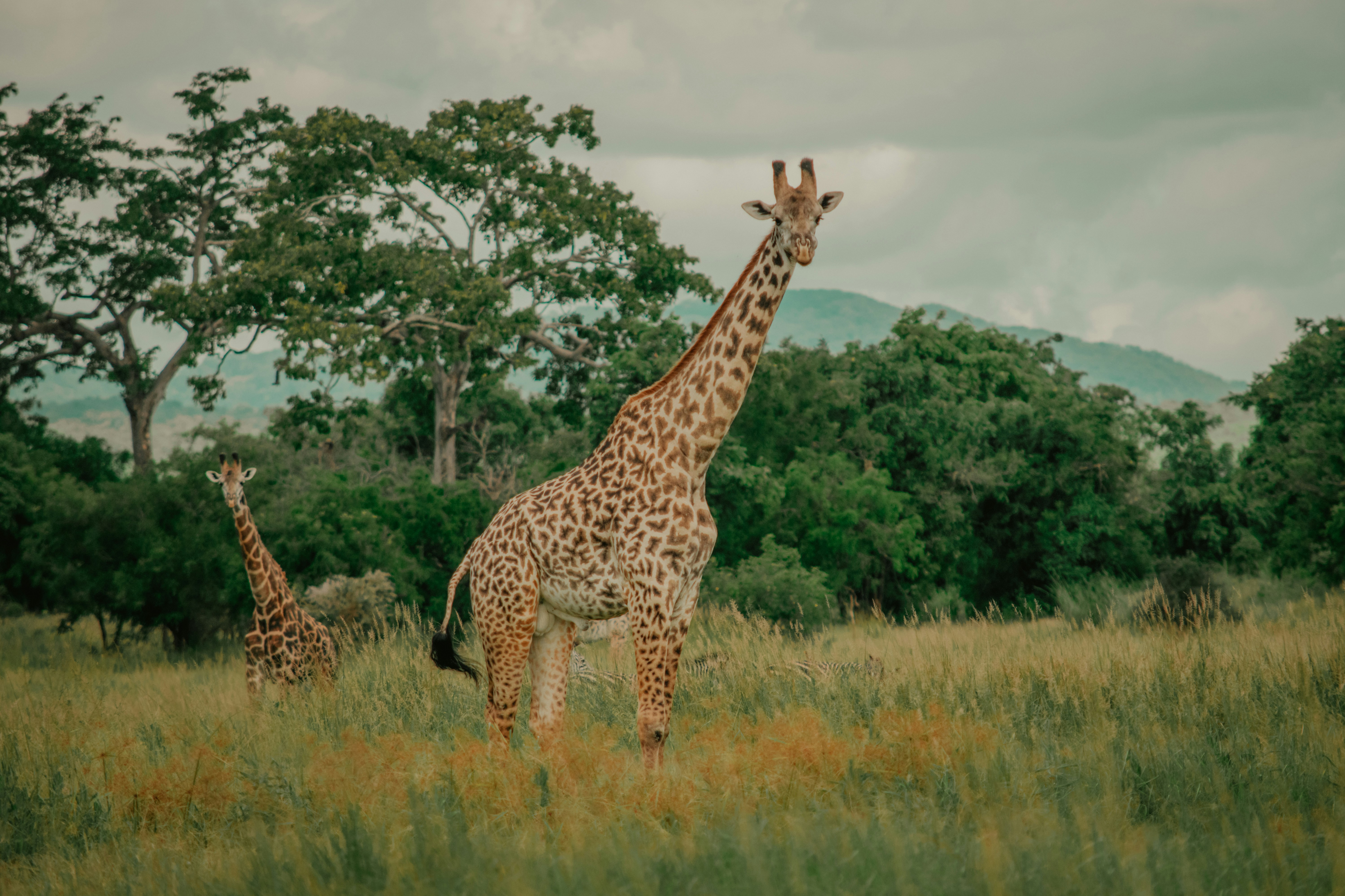 Photo by utunzajiwamazingira