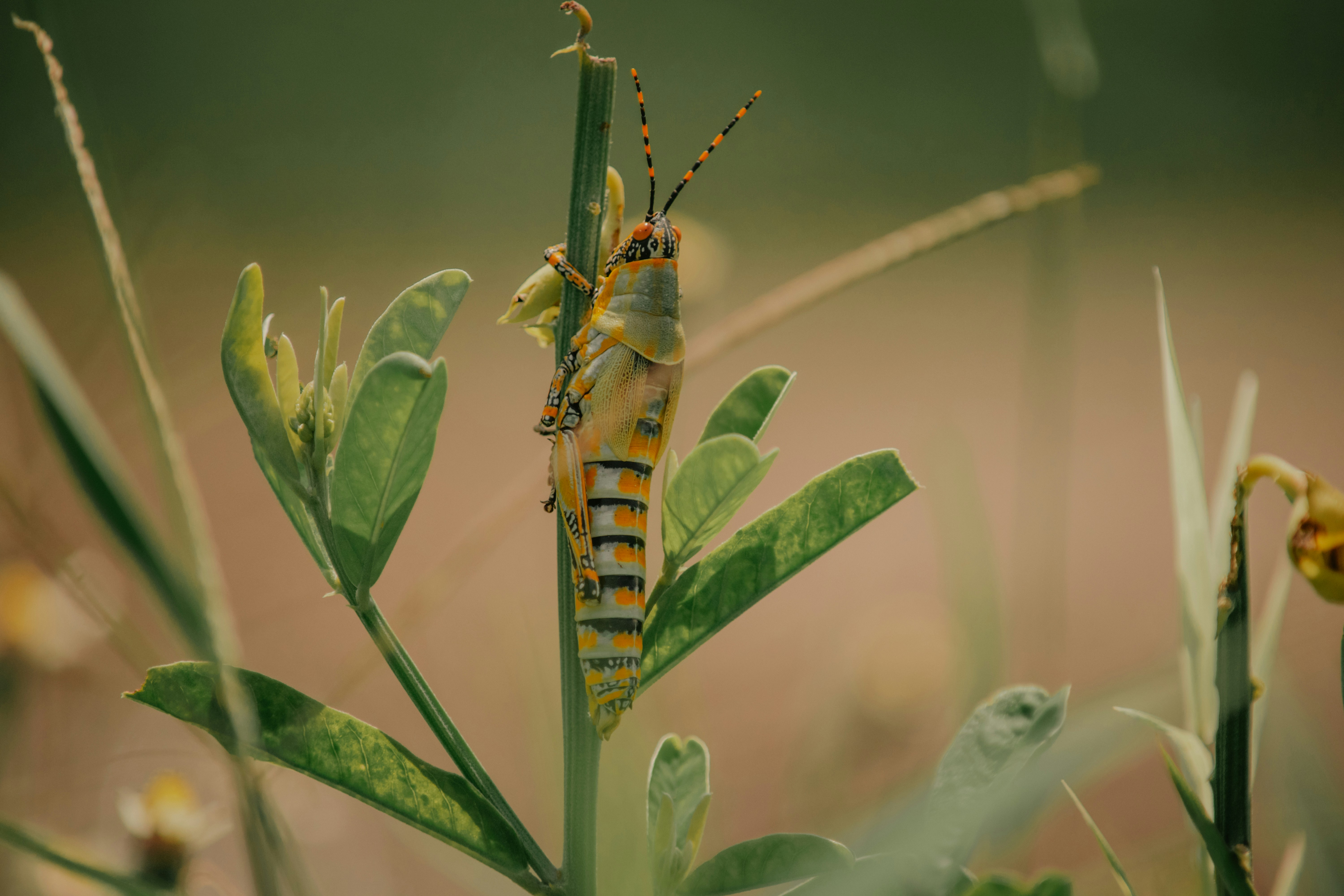 Photo by utunzajiwamazingira