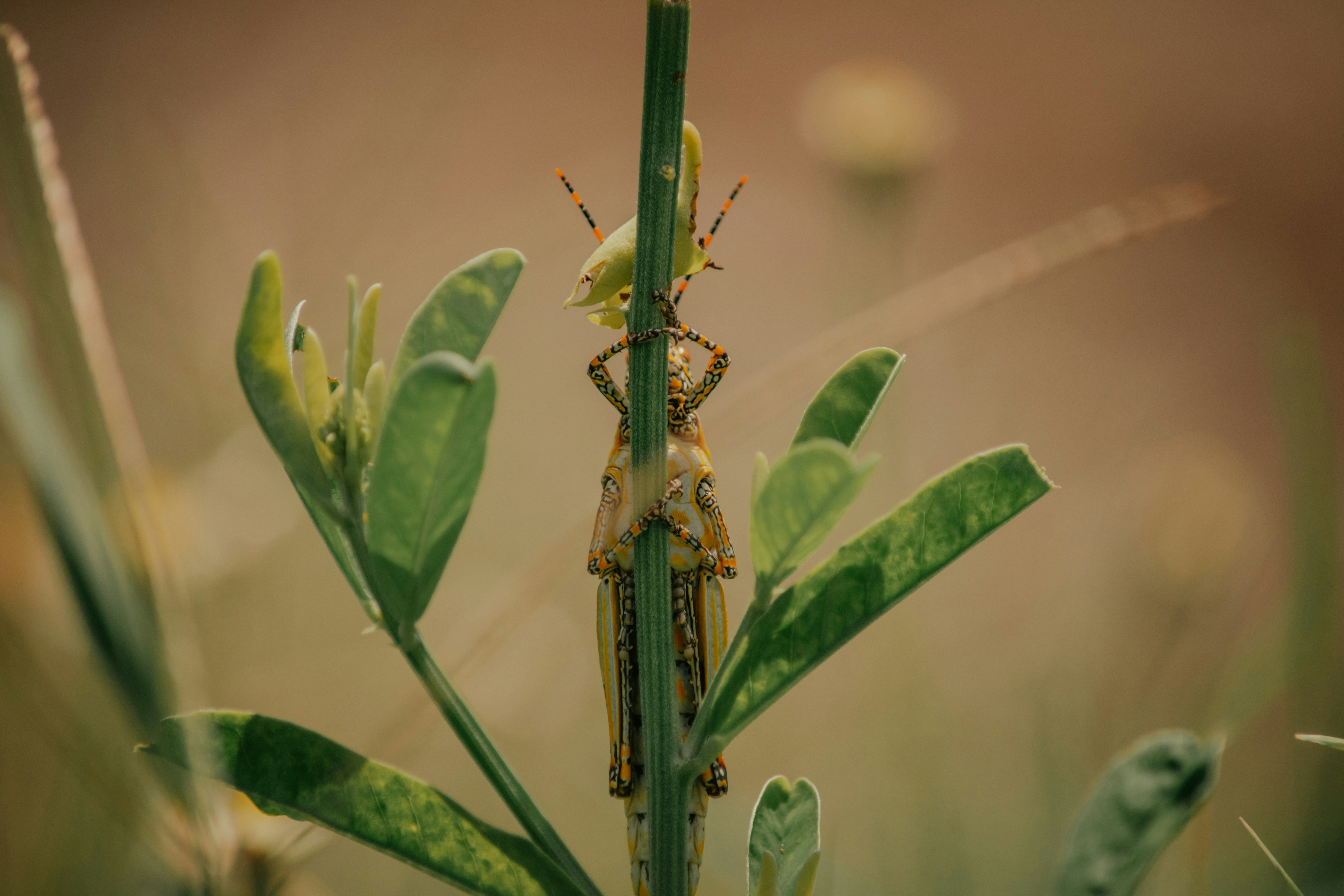 Photo by utunzajiwamazingira