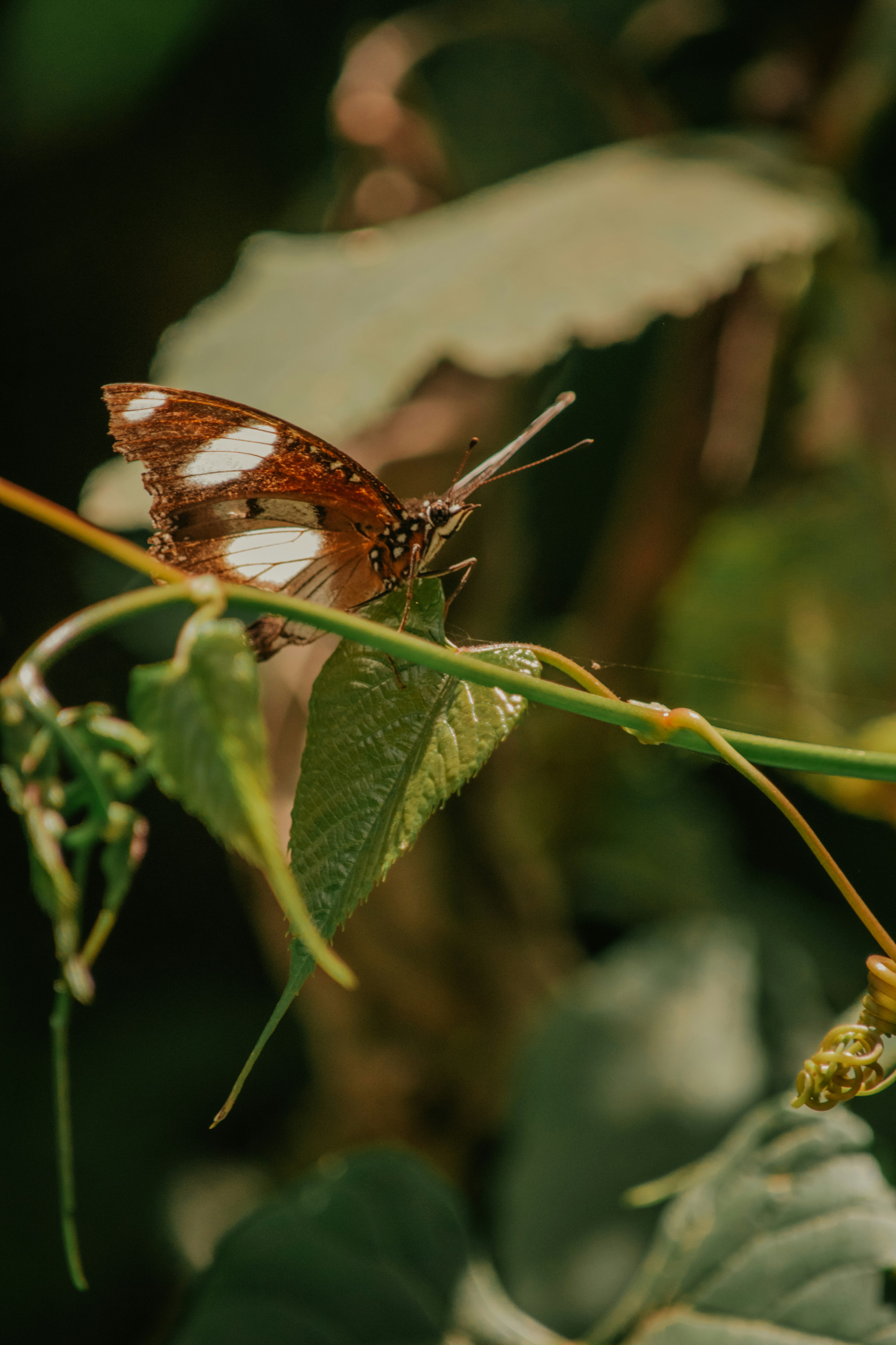 Photo by utunzajiwamazingira