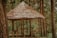 A thatched-roof shelter is surrounded by tall pine trees. The structure is made of rustic wood, providing a natural and earthy appearance. Wooden benches and a table are set beneath the shelter, offering a place to sit and enjoy the forest environment.