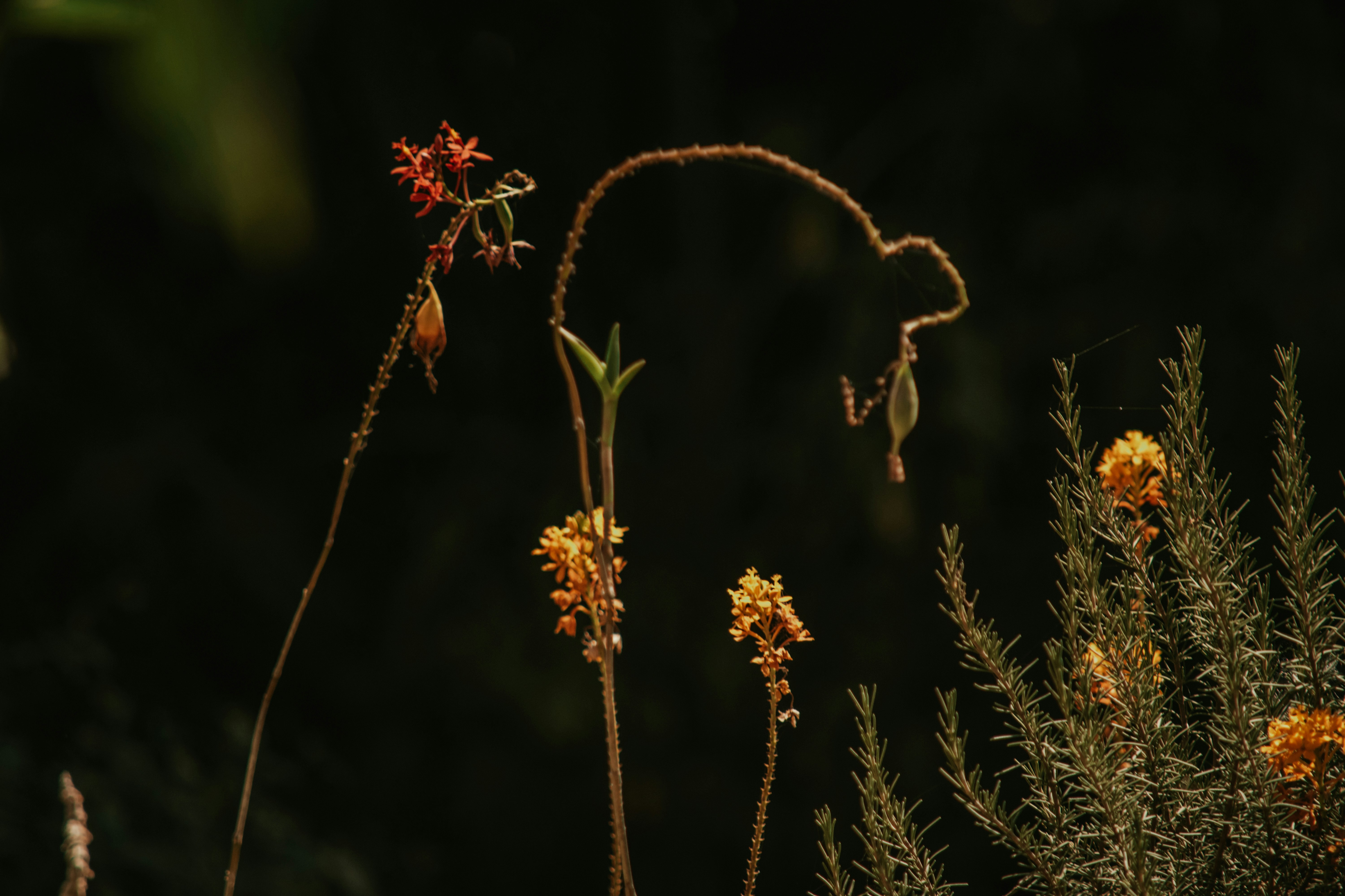 Photo by utunzajiwamazingira