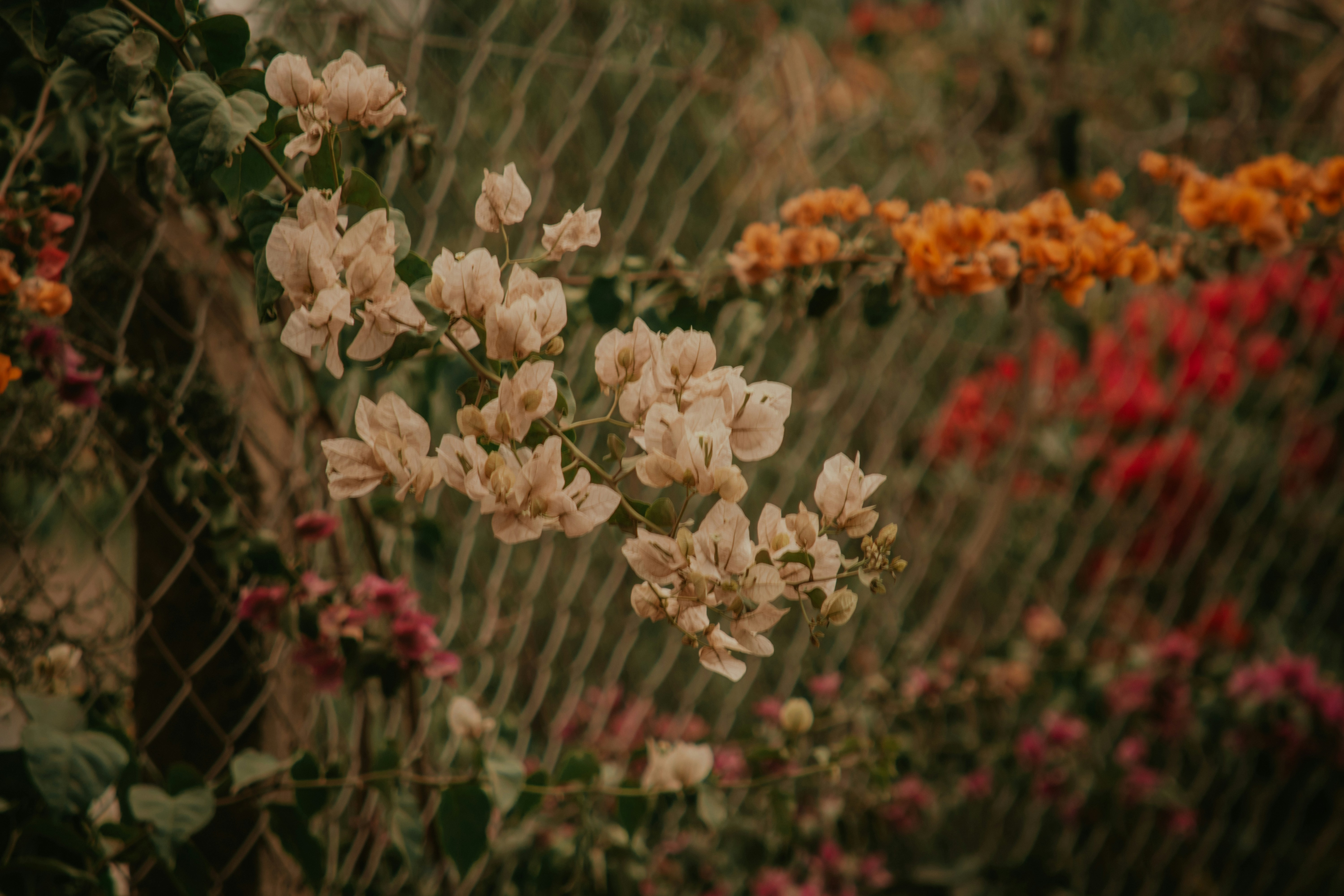 Photo by utunzajiwamazingira