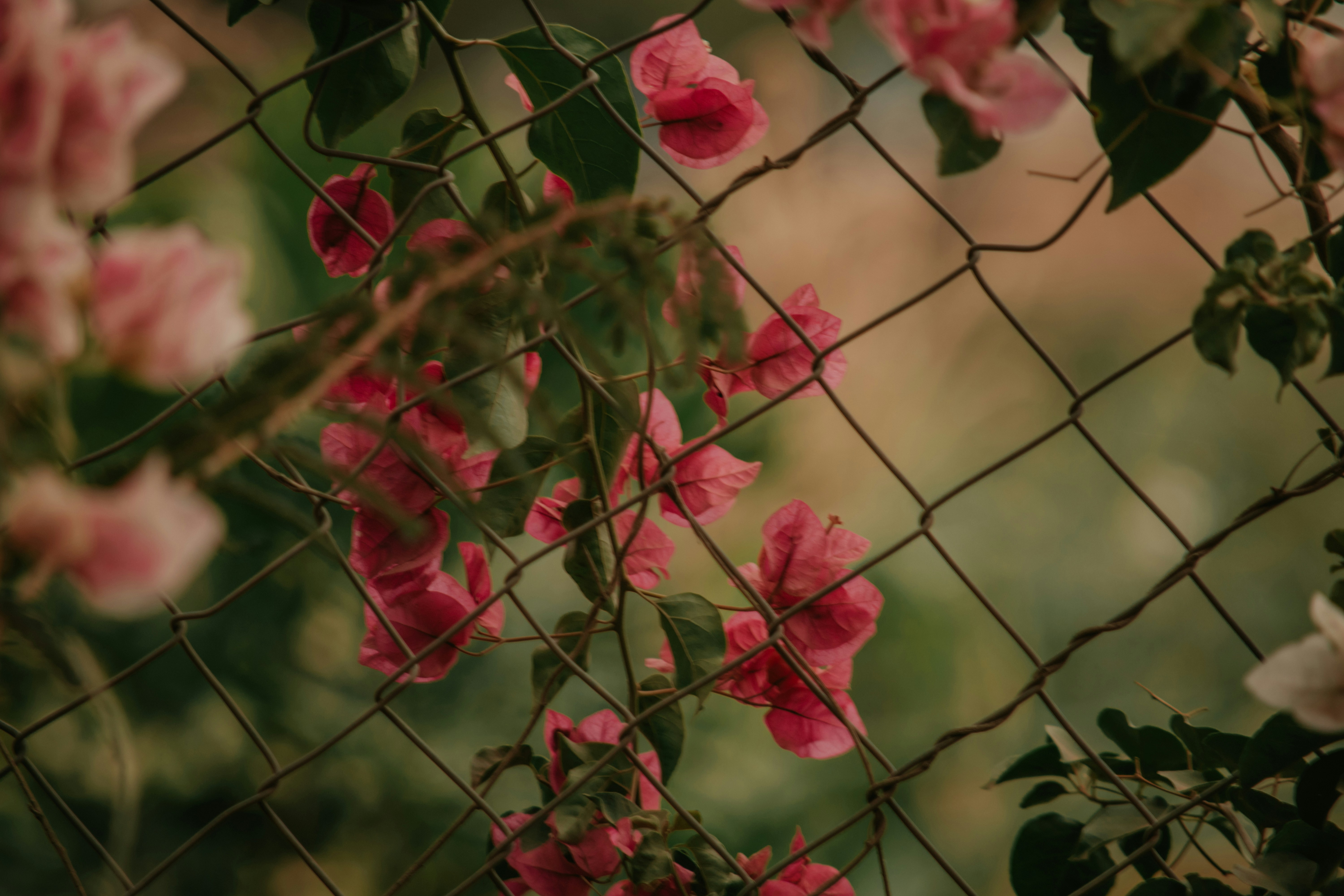 Photo by utunzajiwamazingira