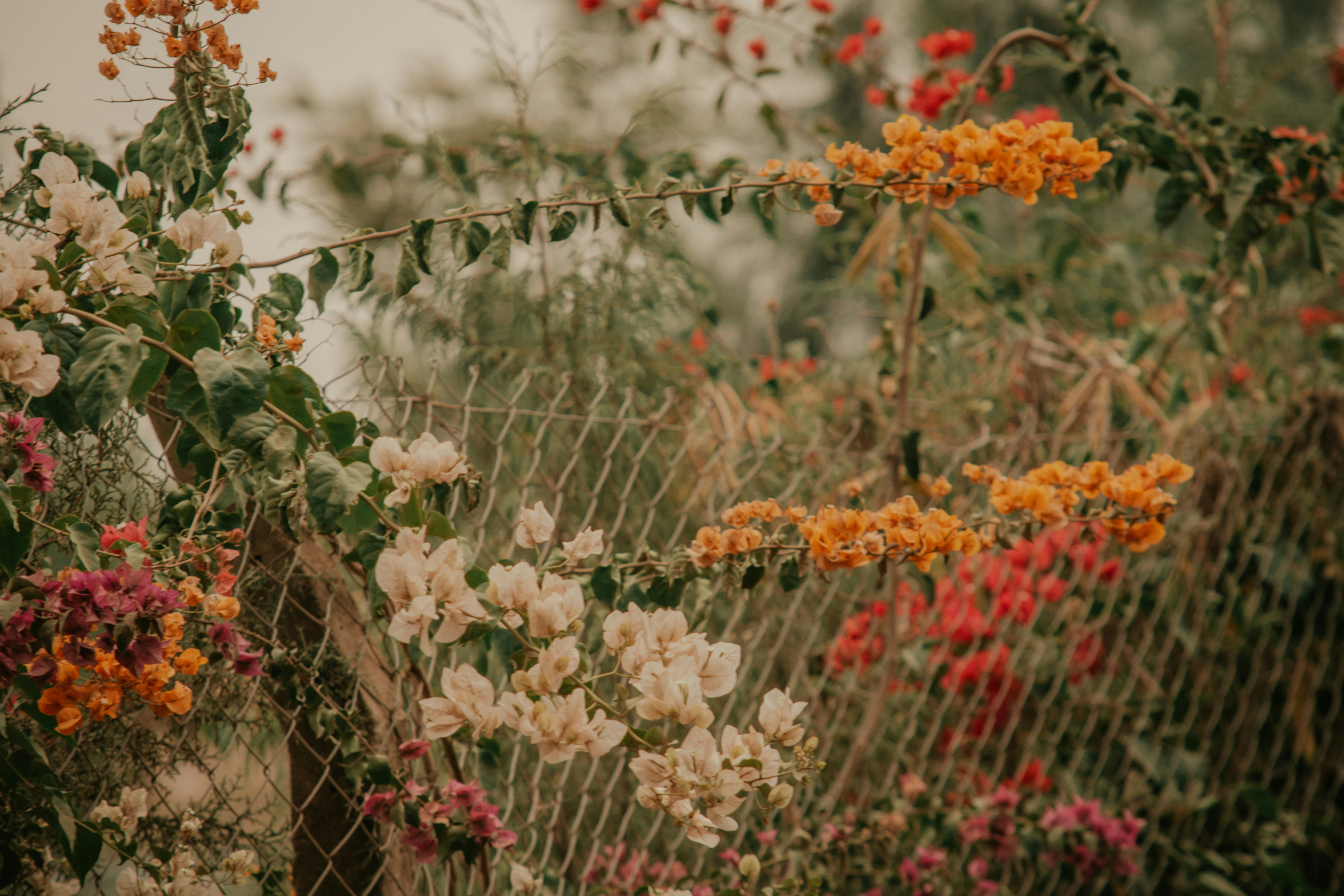 Photo by utunzajiwamazingira