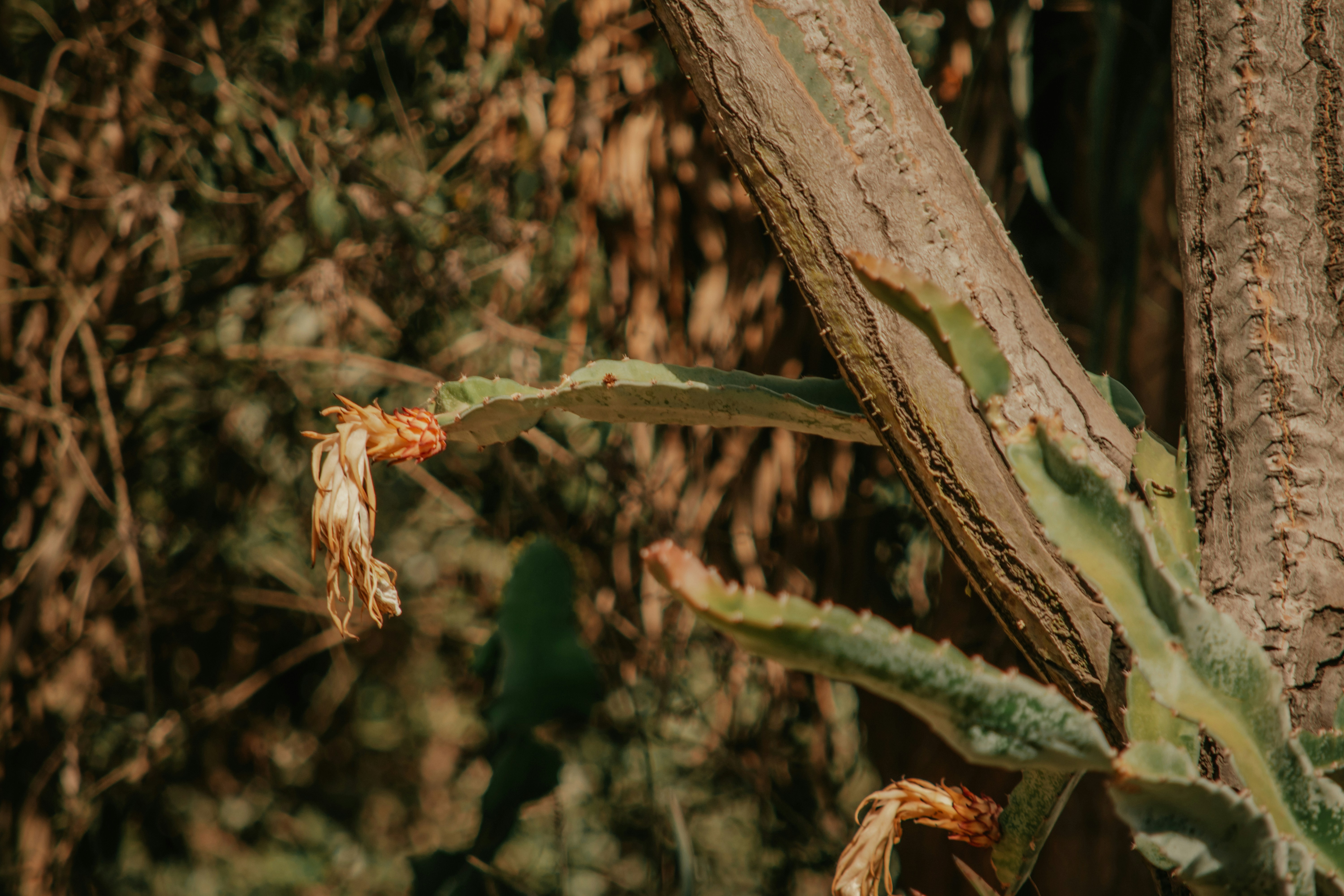 Photo by utunzajiwamazingira