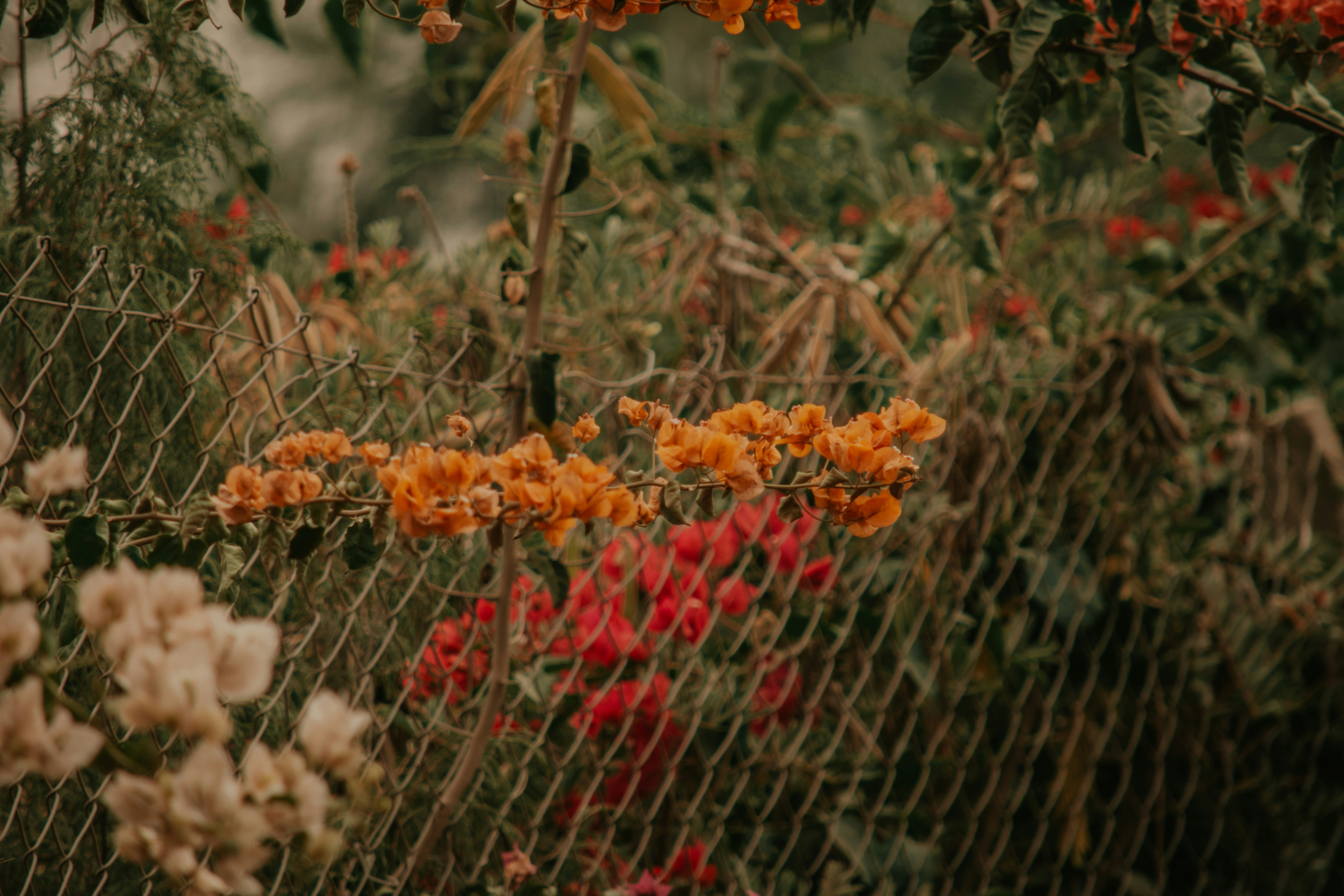 Photo by utunzajiwamazingira