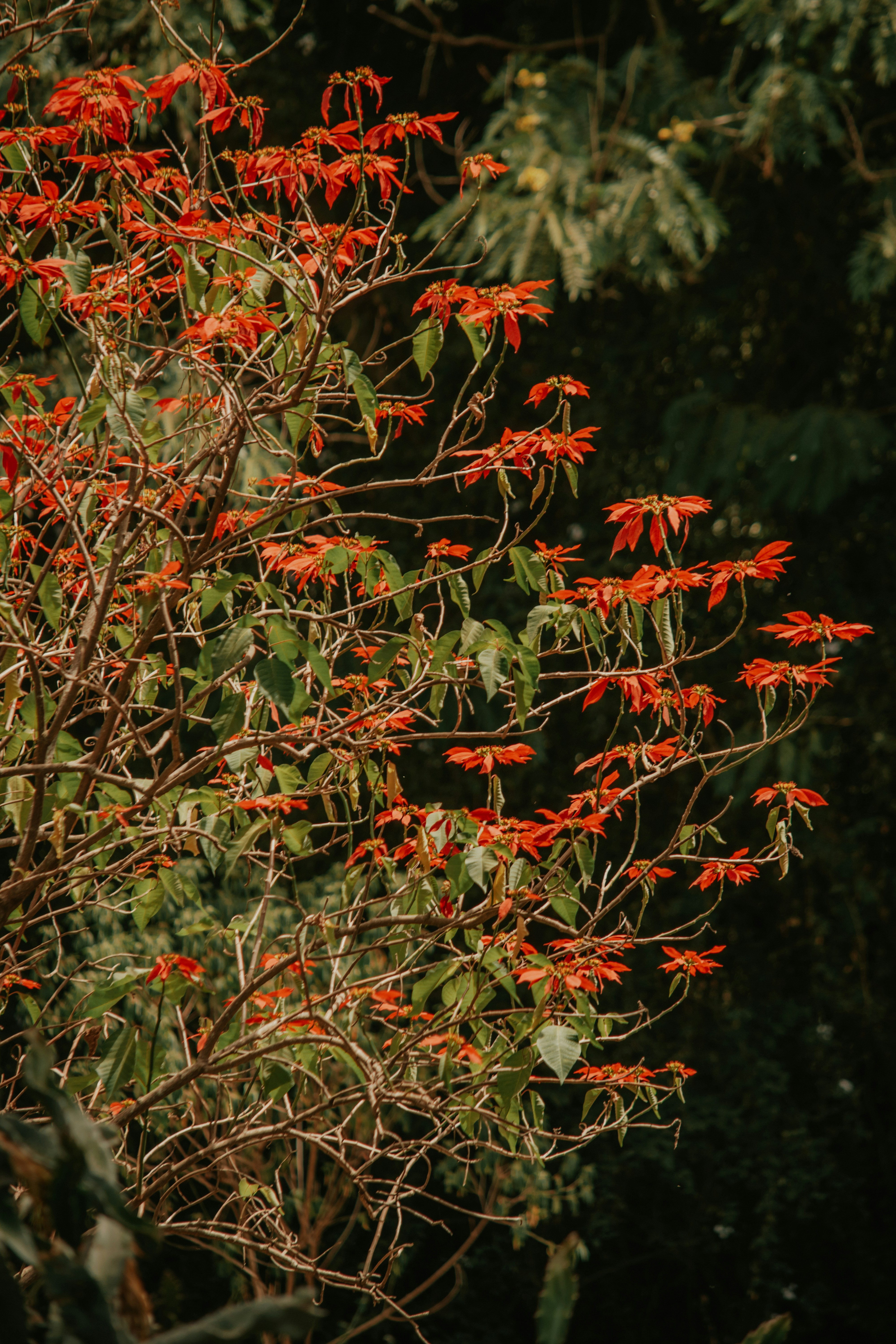 Photo by utunzajiwamazingira