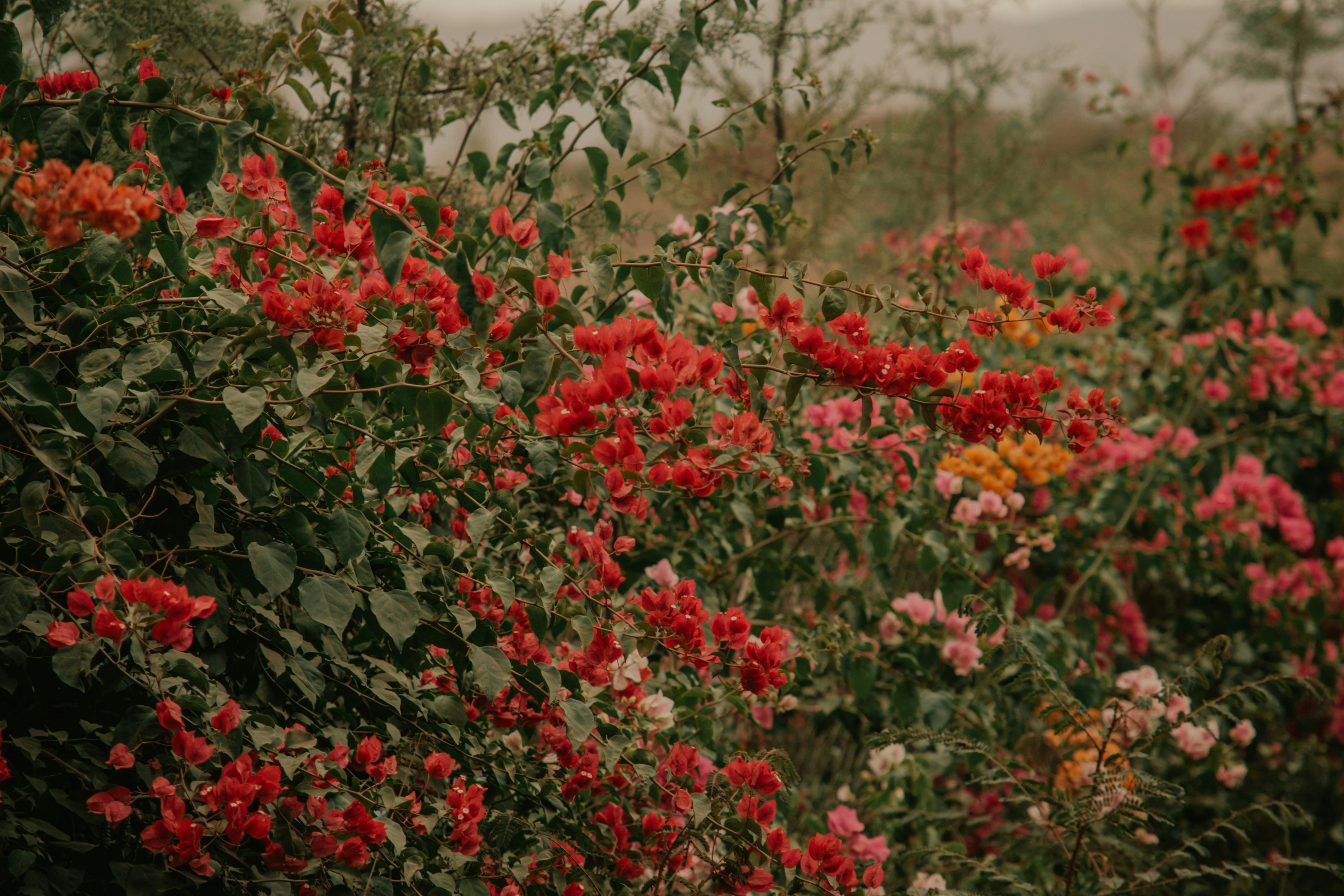 Photo by utunzajiwamazingira