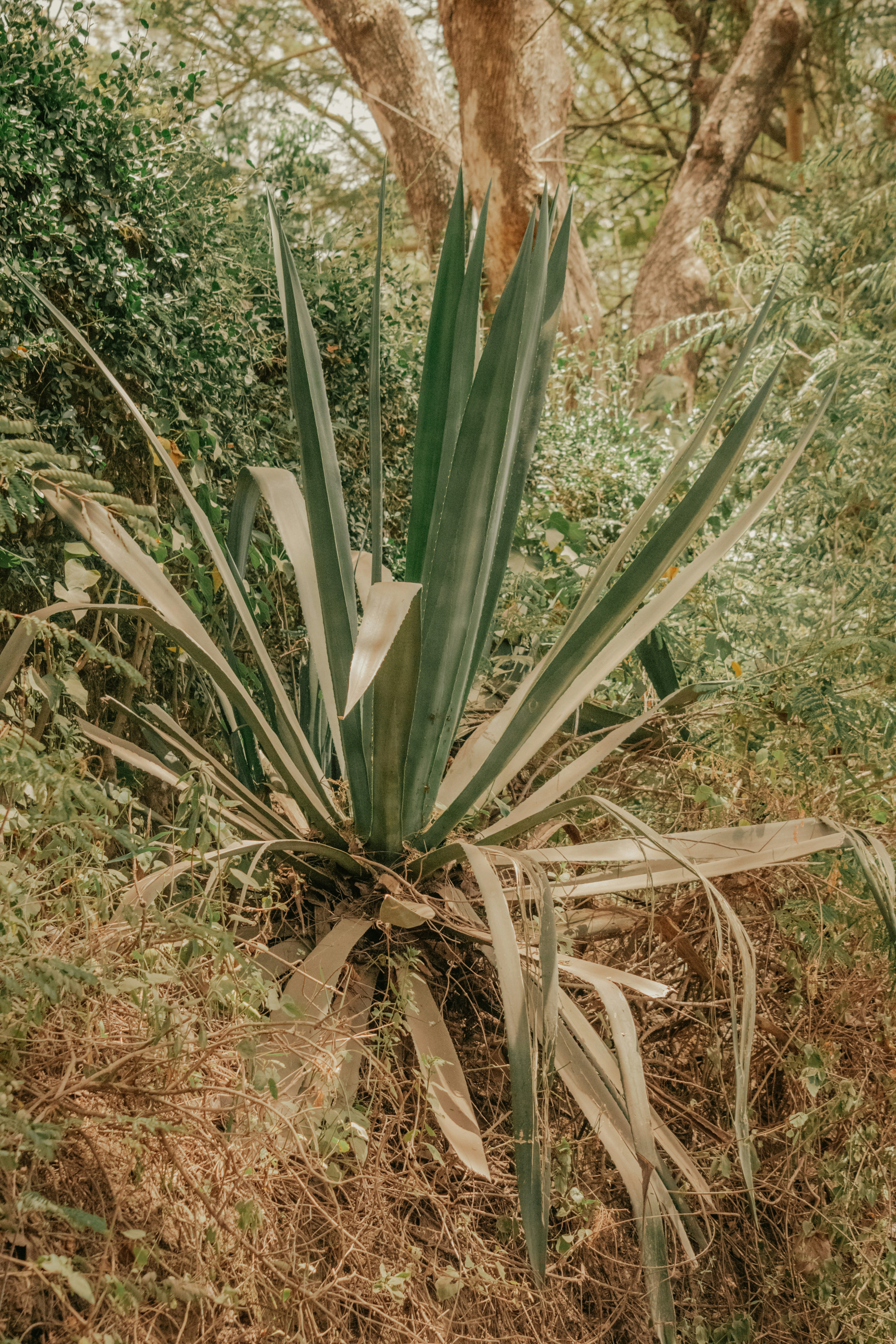 Photo by utunzajiwamazingira