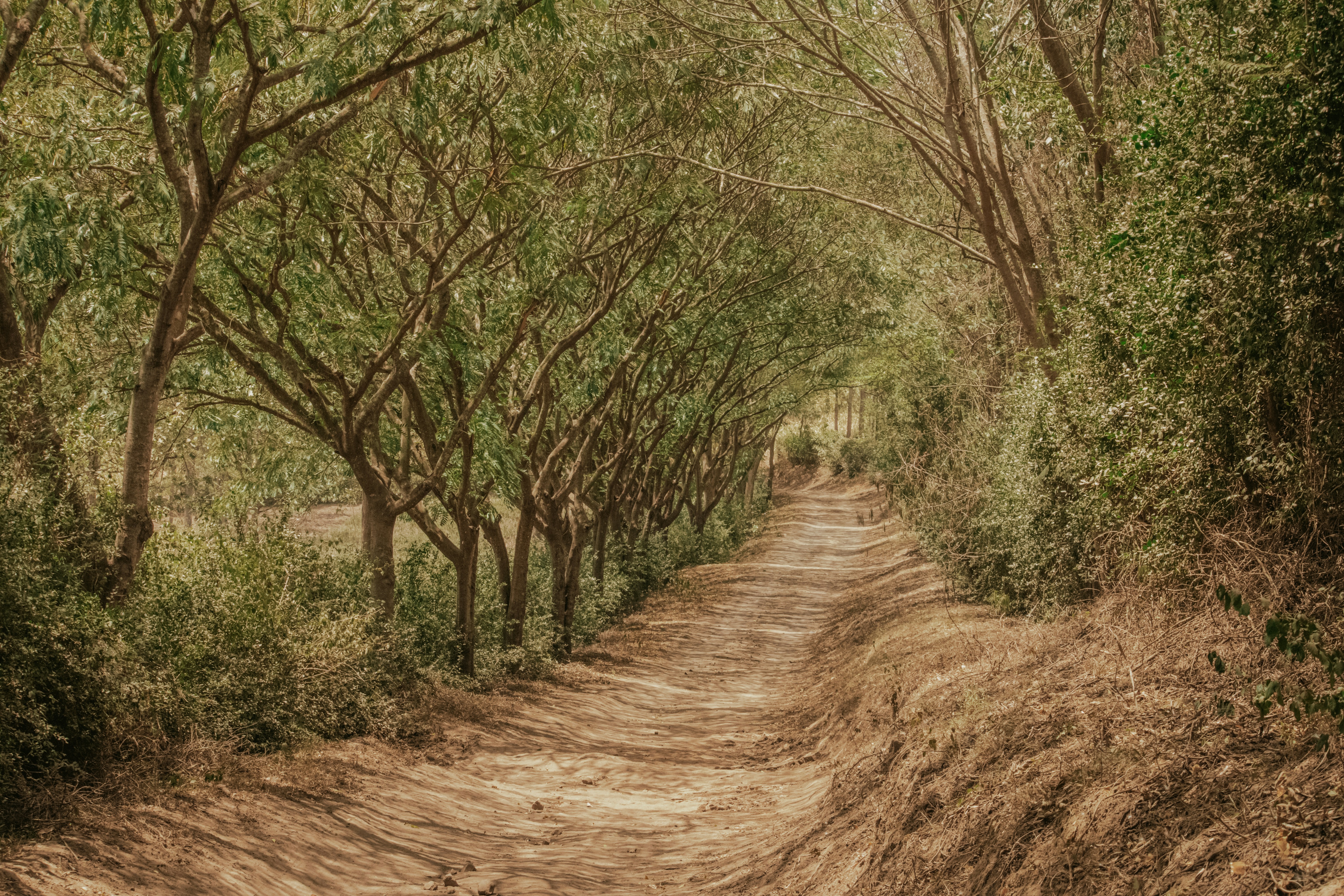 Photo by utunzajiwamazingira