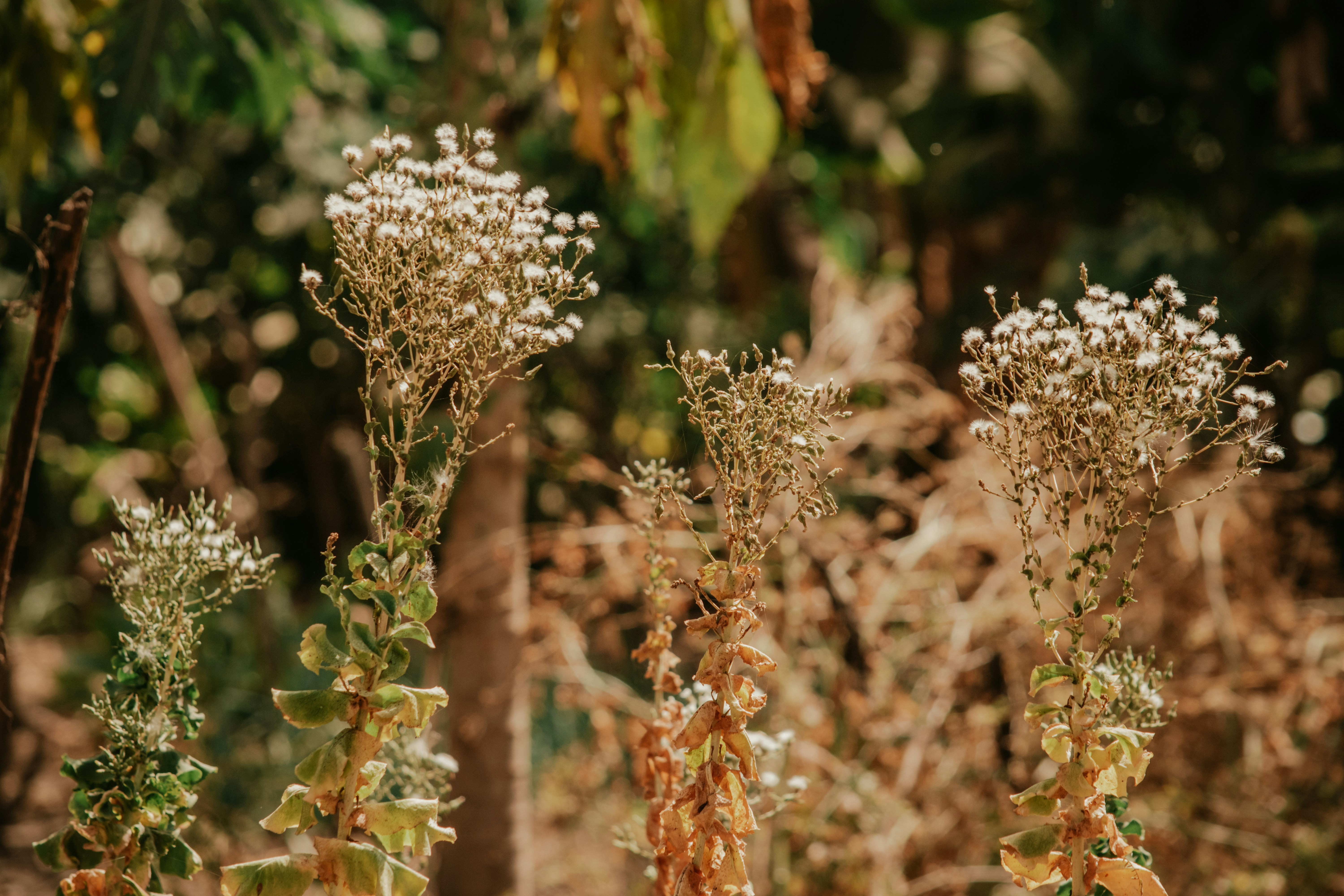 Photo by utunzajiwamazingira