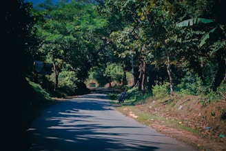 A sunlit winding road stretching ahead with a lone motorbike parked beside a rustic wooden sign.