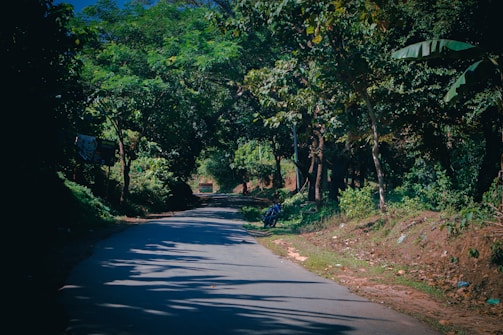 A sunlit winding road stretching ahead with a lone motorbike parked beside a rustic wooden sign.