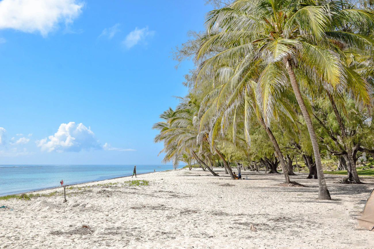 Old Town street and Fort Jesus area in Mombasa, a weekend highlight