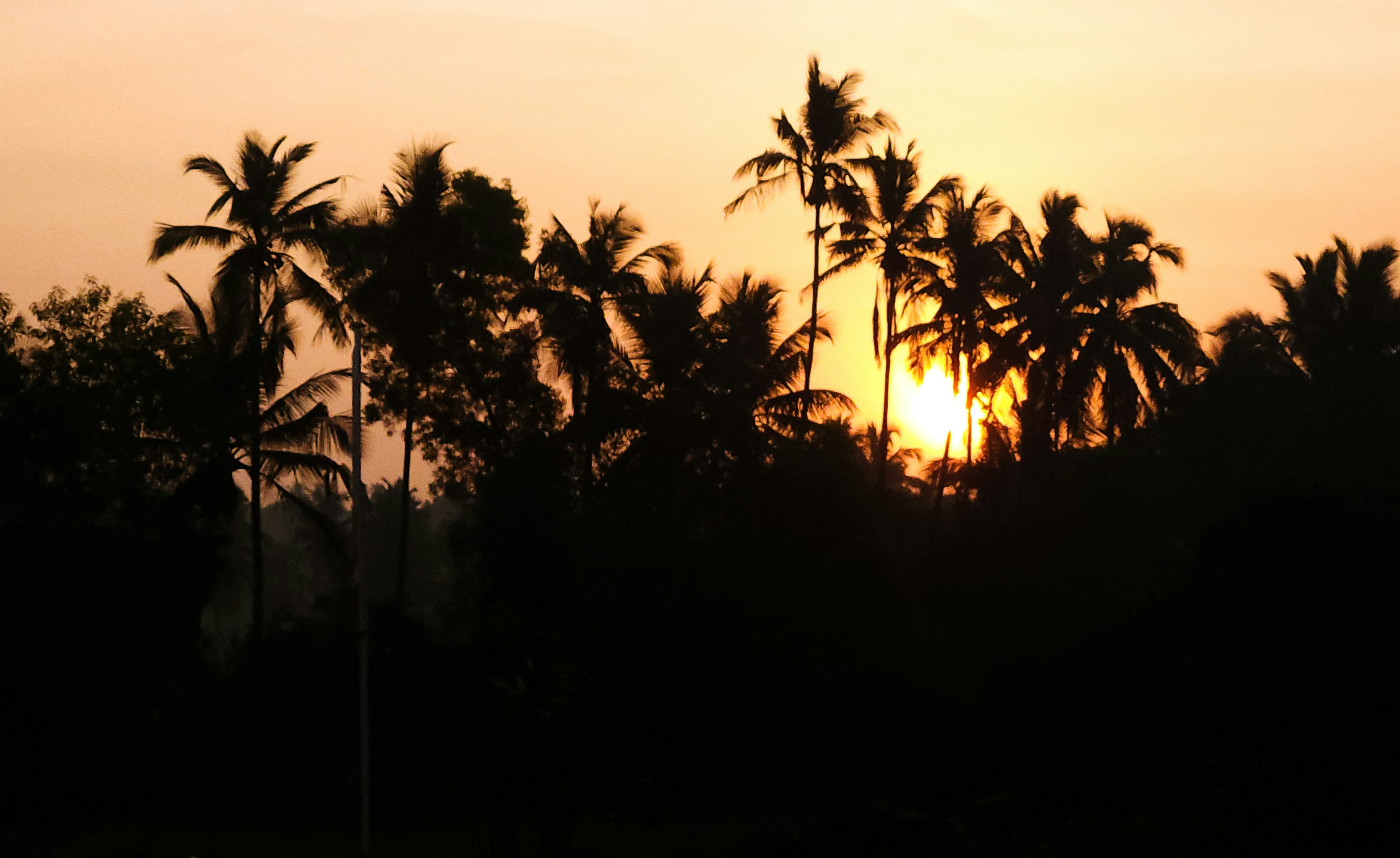 Photo by piyanshusharma