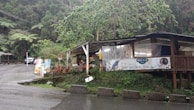 A small rustic café is situated at the edge of a lush forest. The structure is partially open, with a roofed area supported by wooden beams and transparent plastic sheets acting as walls. Several potted plants are displayed in front of the café. There's a banner with text and an image of a bird attached to the café. The surrounding area is wet, indicating recent rainfall, and a few benches are visible to the side. A road curves around in front of the café, with a parked car further down the road.