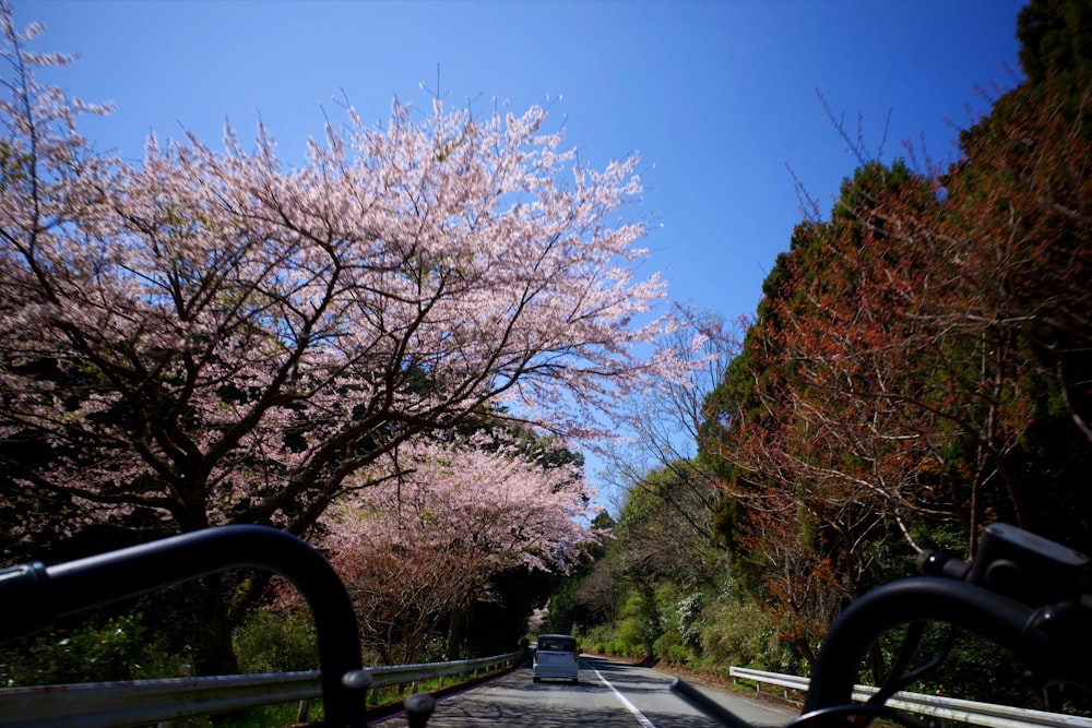 a car driving down a road next to trees