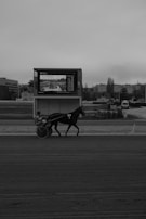 A monochrome scene captures a trotting horse with a rider in a sulky on a racetrack. In the background, there's a large screen displaying information and a cityscape with several buildings and trees.