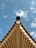 A symmetrical view of a roof's edge with rows of wooden beams extending downwards against a clear blue sky with scattered clouds.