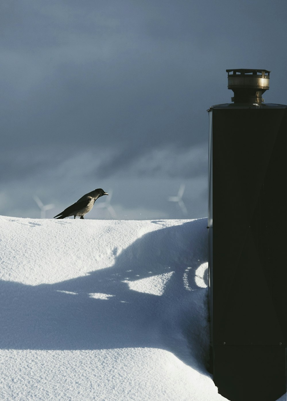 a bird sitting on top of a snow covered hill