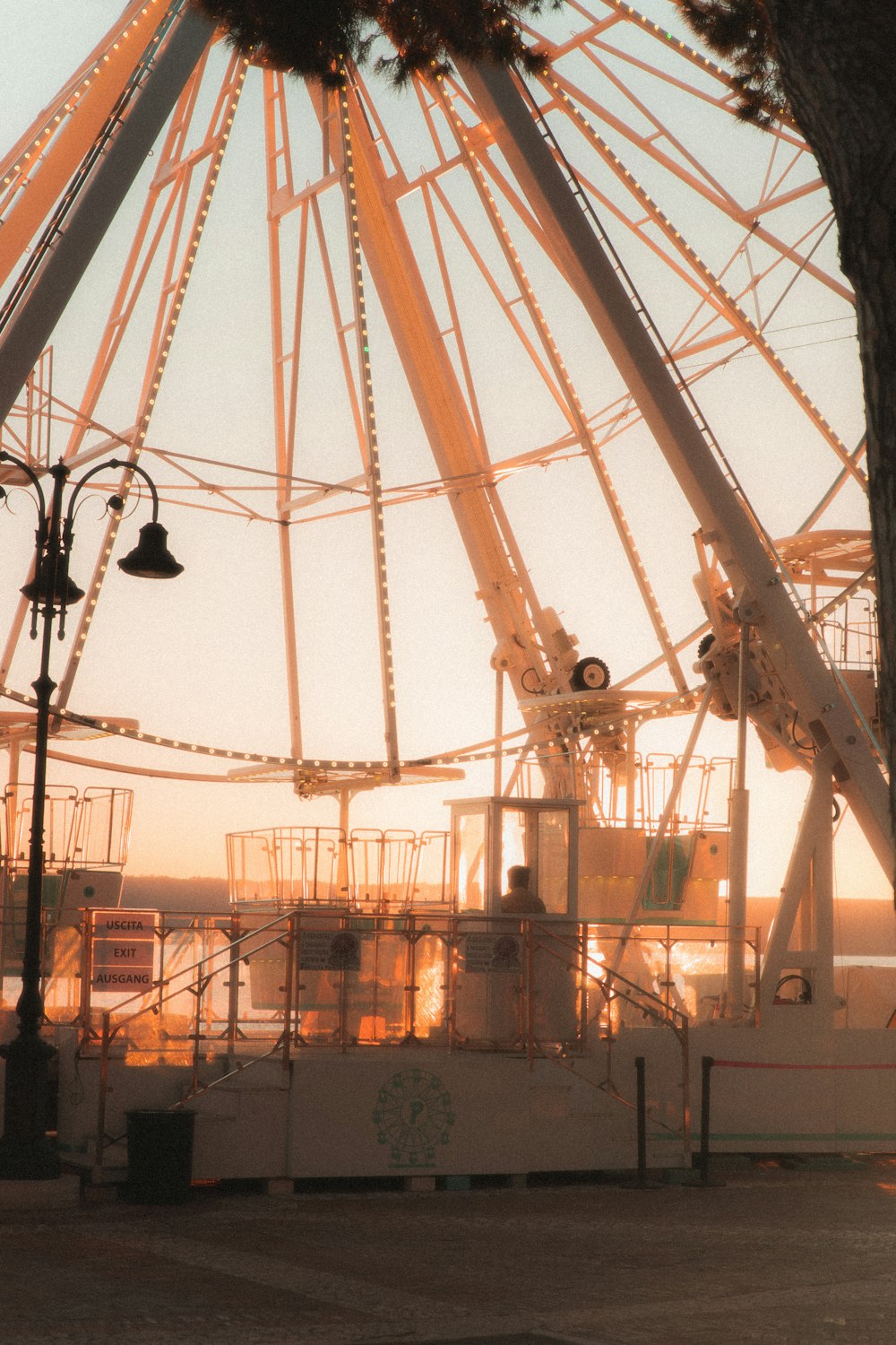 a ferris wheel sitting in the middle of a park