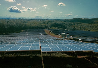 a large solar farm with many rows of solar panels