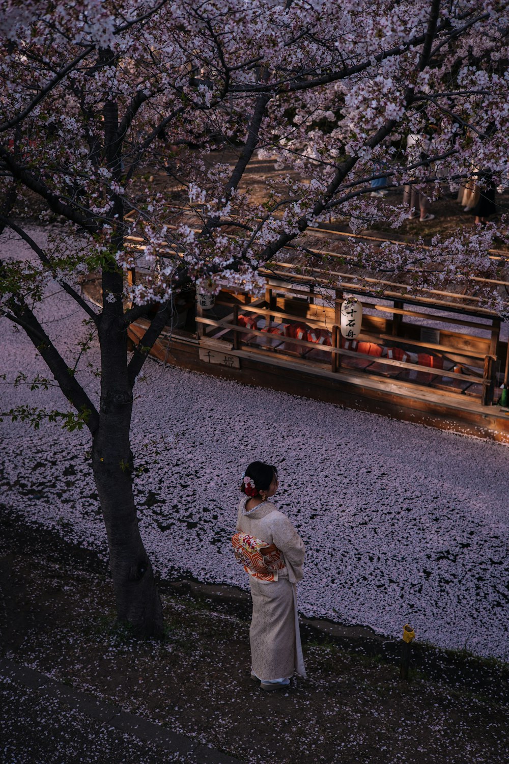 a woman in a kimono standing under a cherry blossom tree