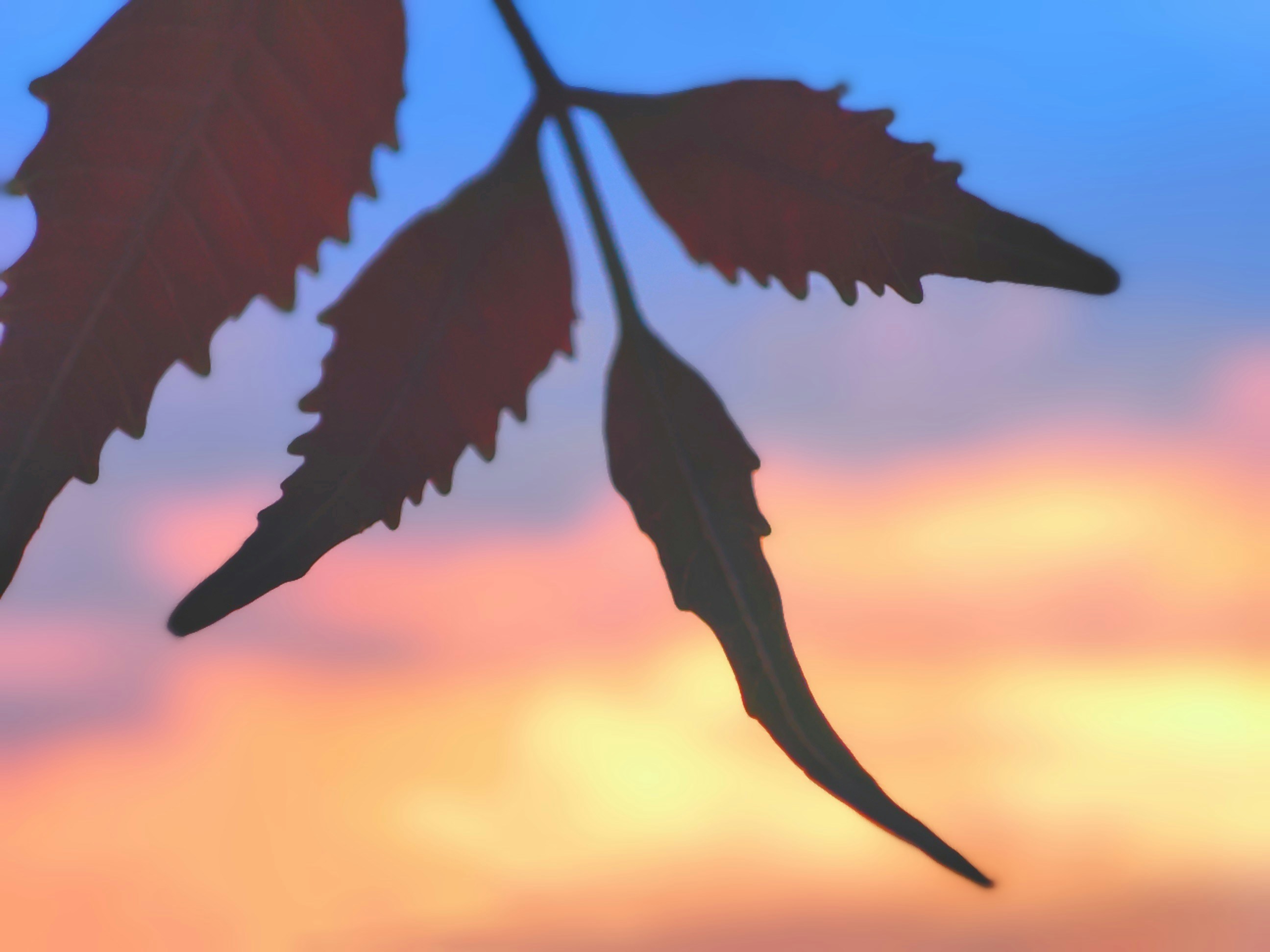 Photo by vklightning