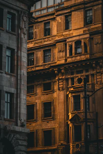 Architectural blueprint spread across a construction site, bathed in burnished gold light.