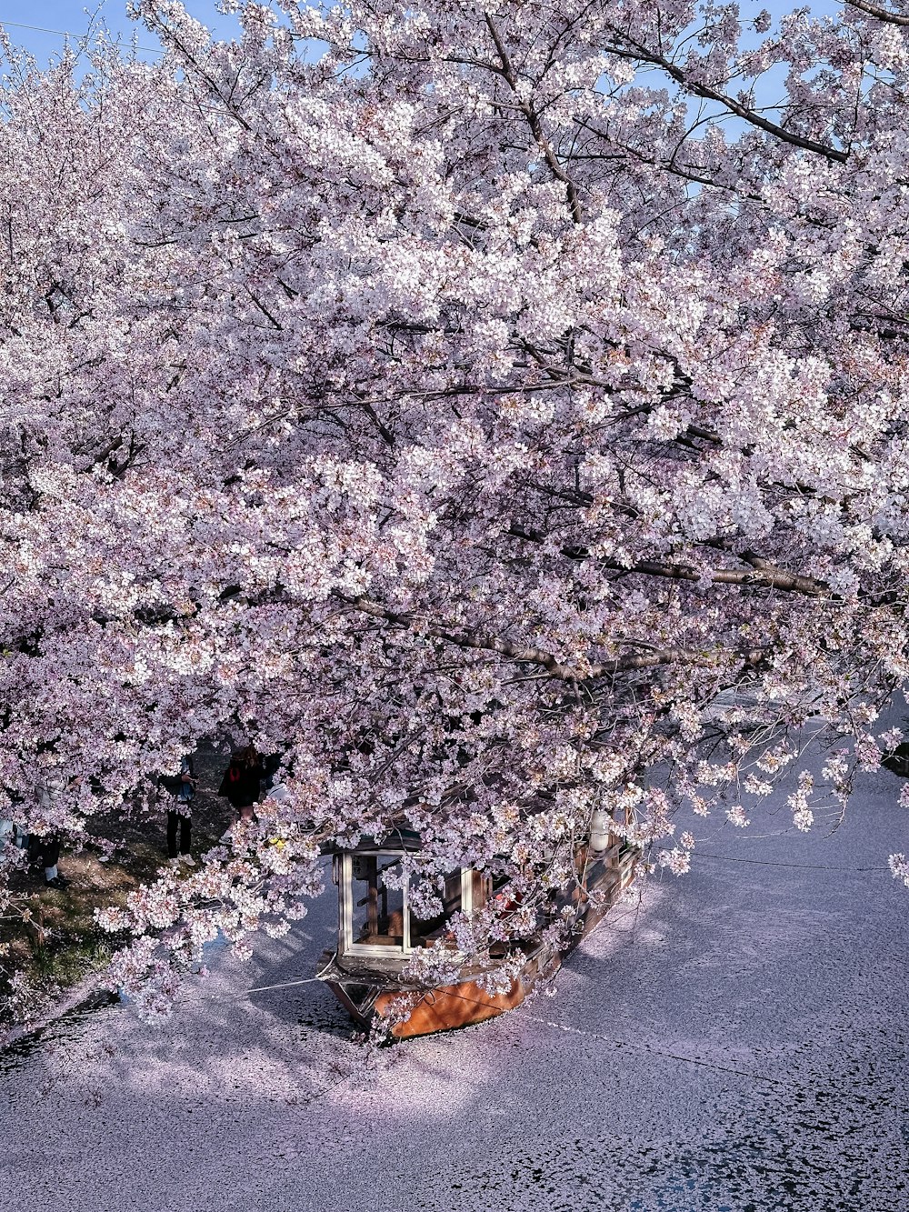 a boat in a body of water under a tree