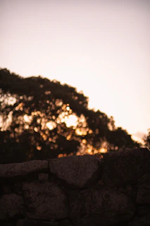 Evening photo of a softly lit rockwall mural enhancing a cozy backyard space.