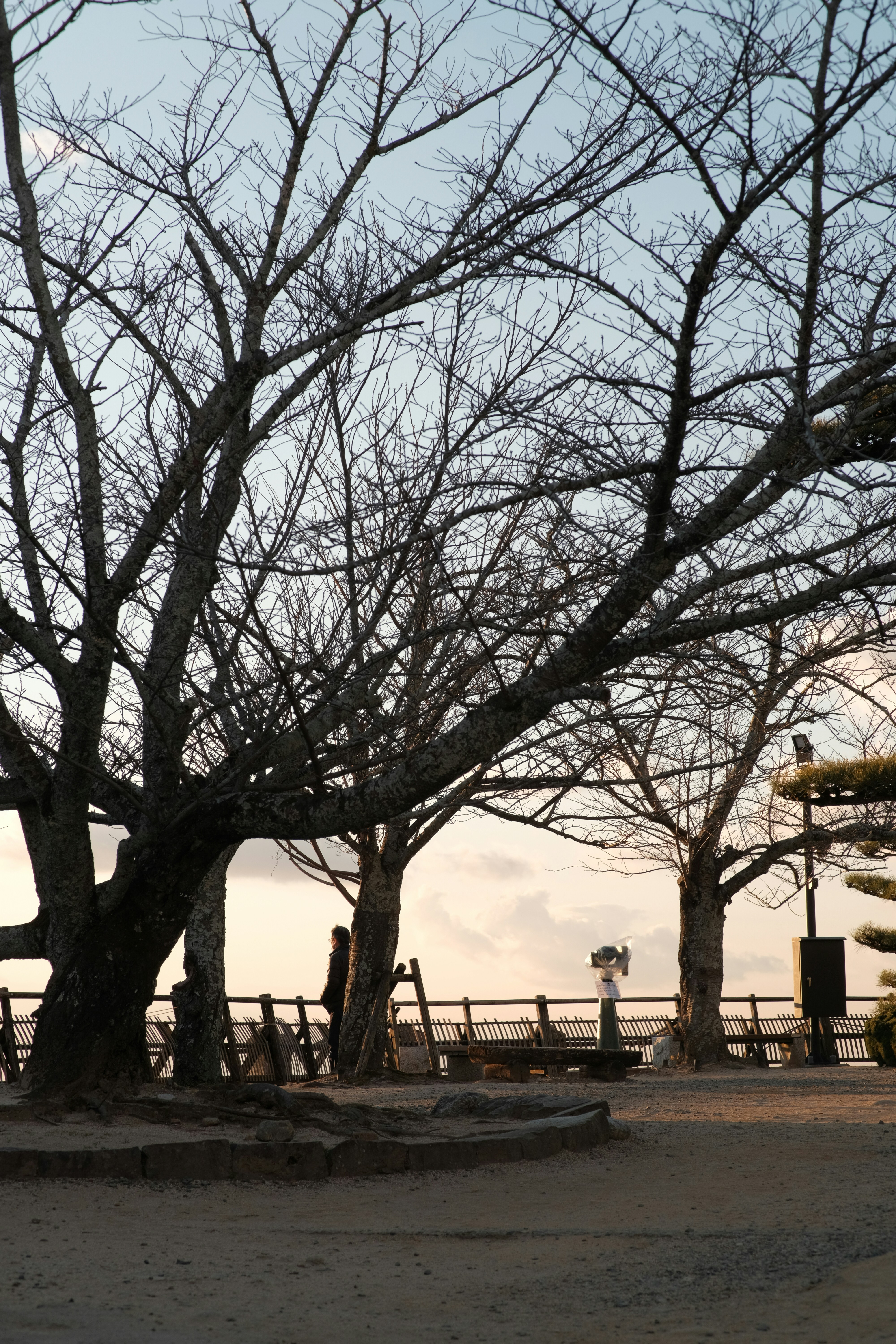 Photo by mak_jp
