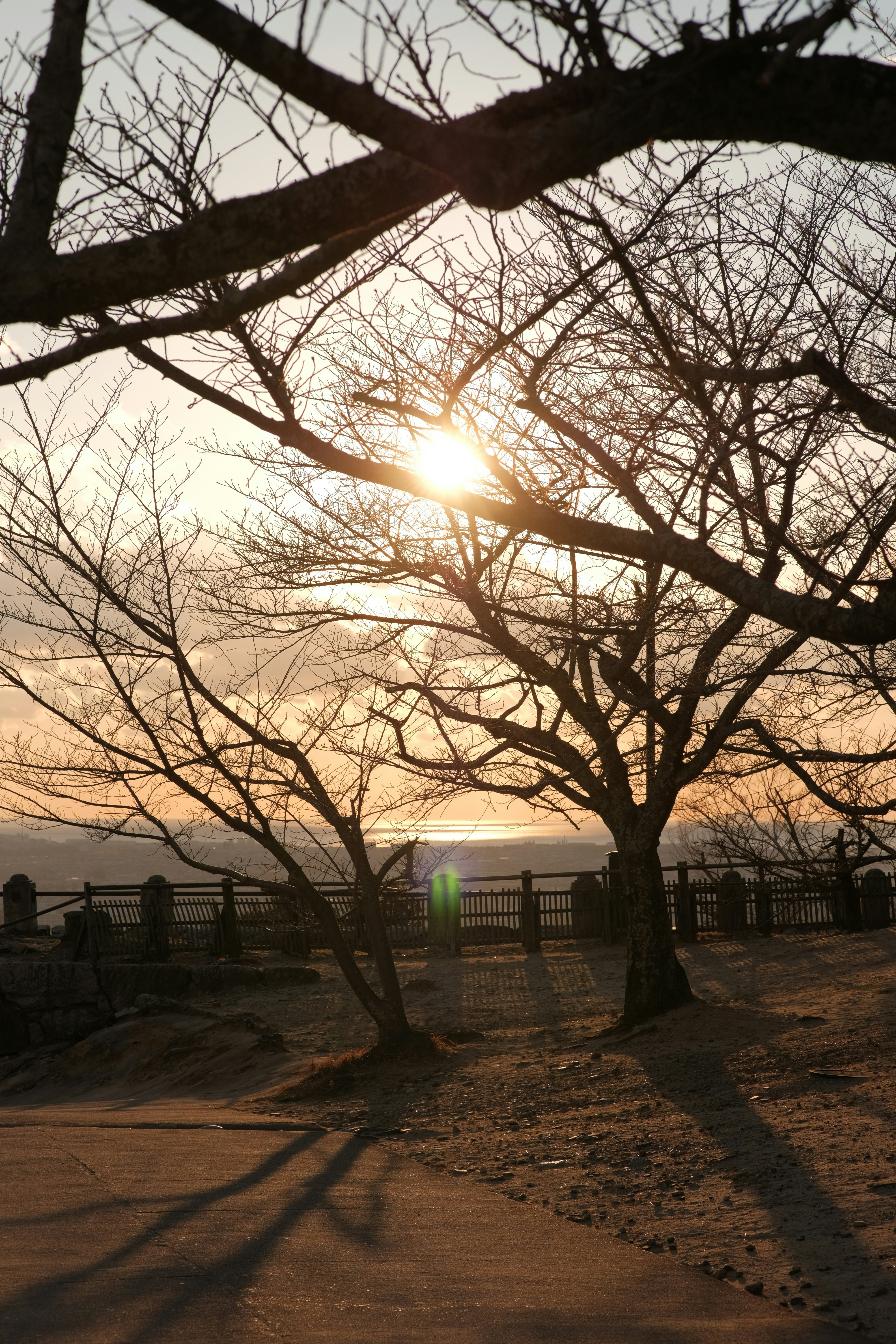 Photo by mak_jp